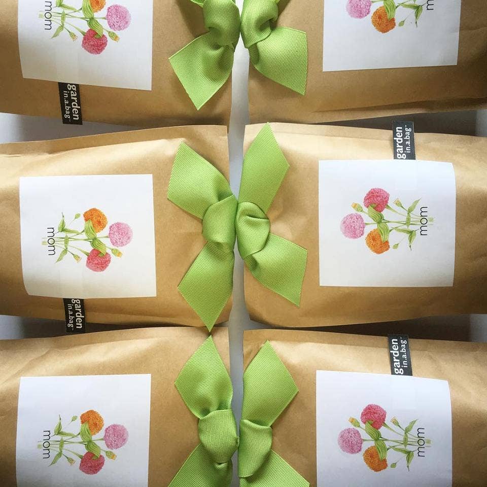 Garden in a Bag | Mom | Mother's Day | Best Seller, photo 2 of 6