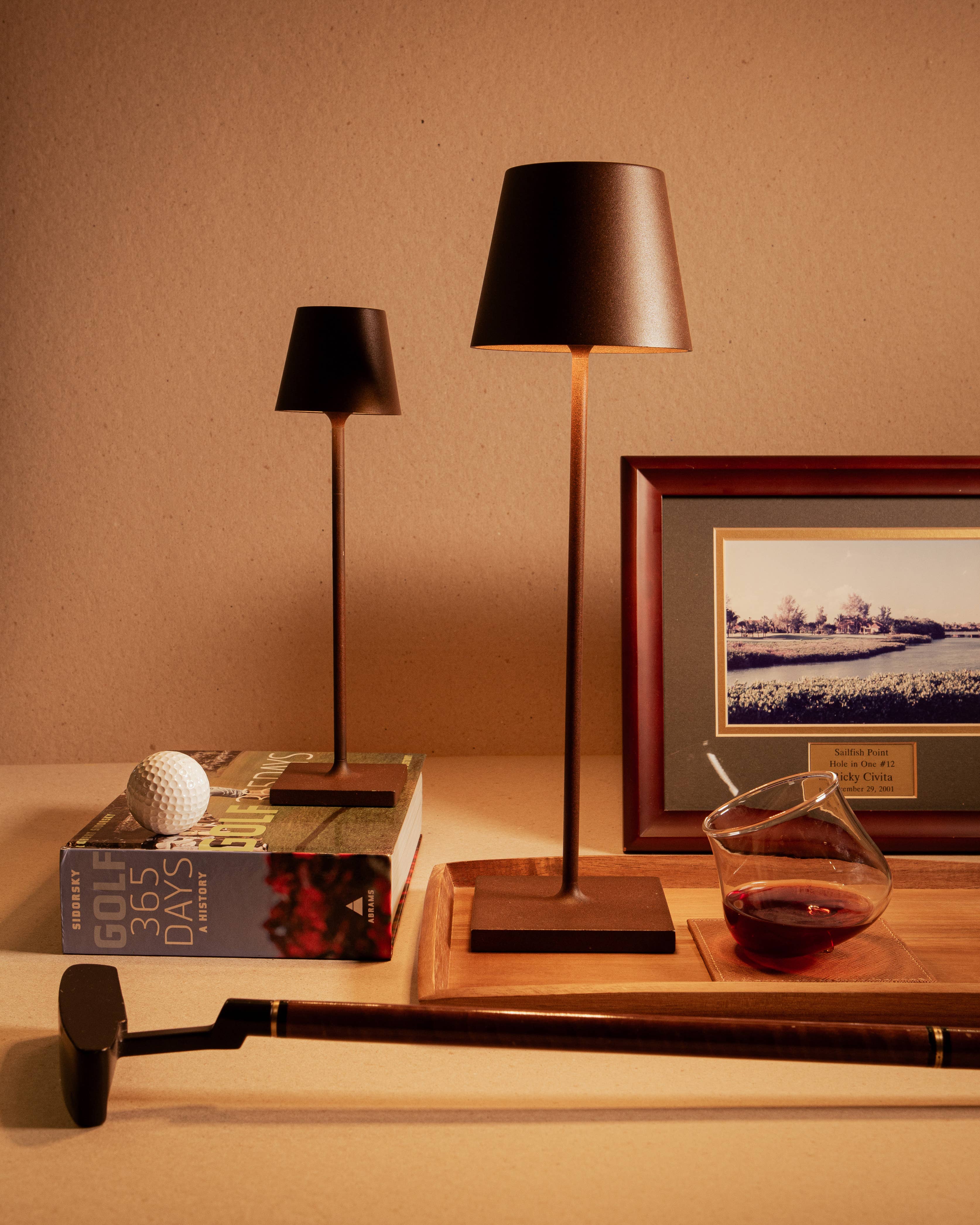 Poldina Pro Cordless Lamp: White, photo 7 of 8