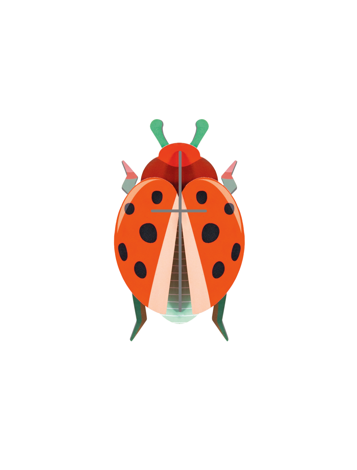 3D Wall Art - Beetles - Coccinelle Rouge, photo 1 of 3