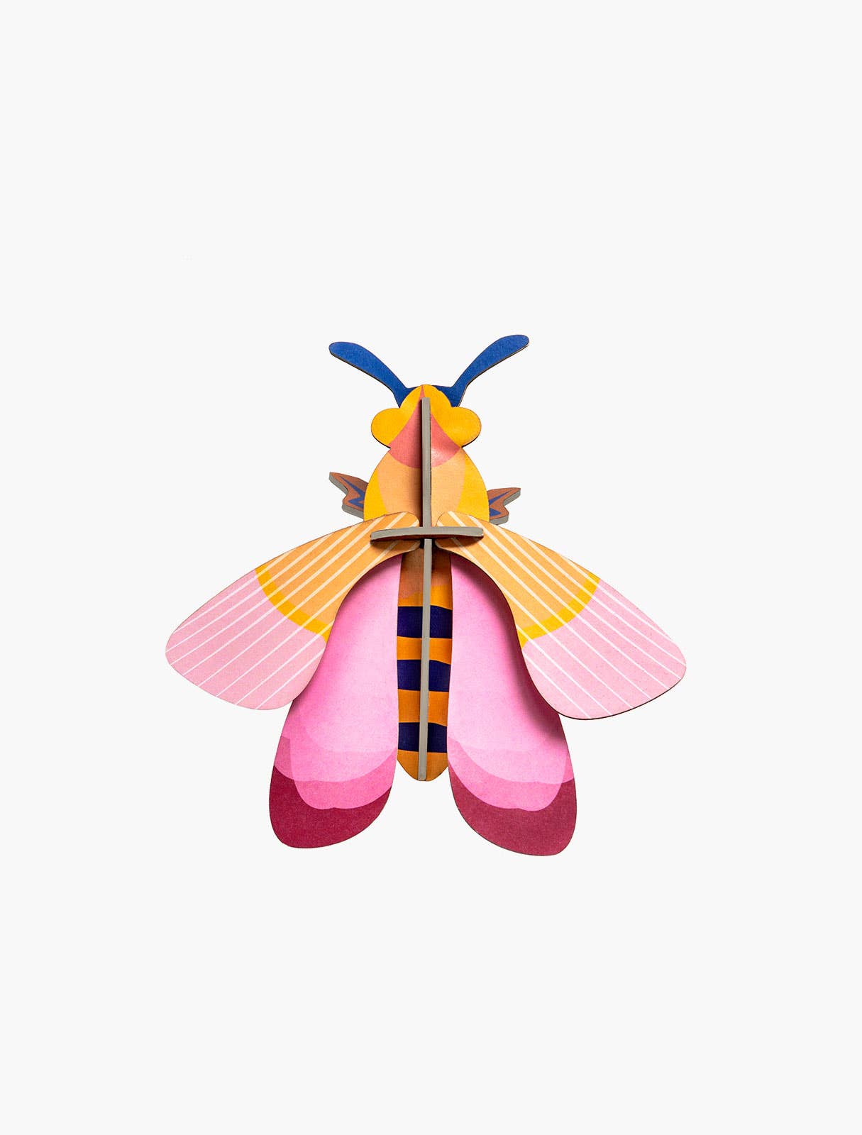 Pink Bee, photo 1 of 4
