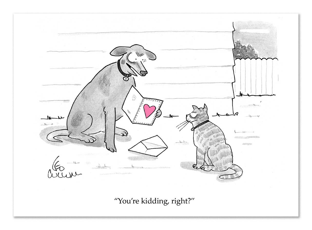 You're Kidding - Valentine's Day Card