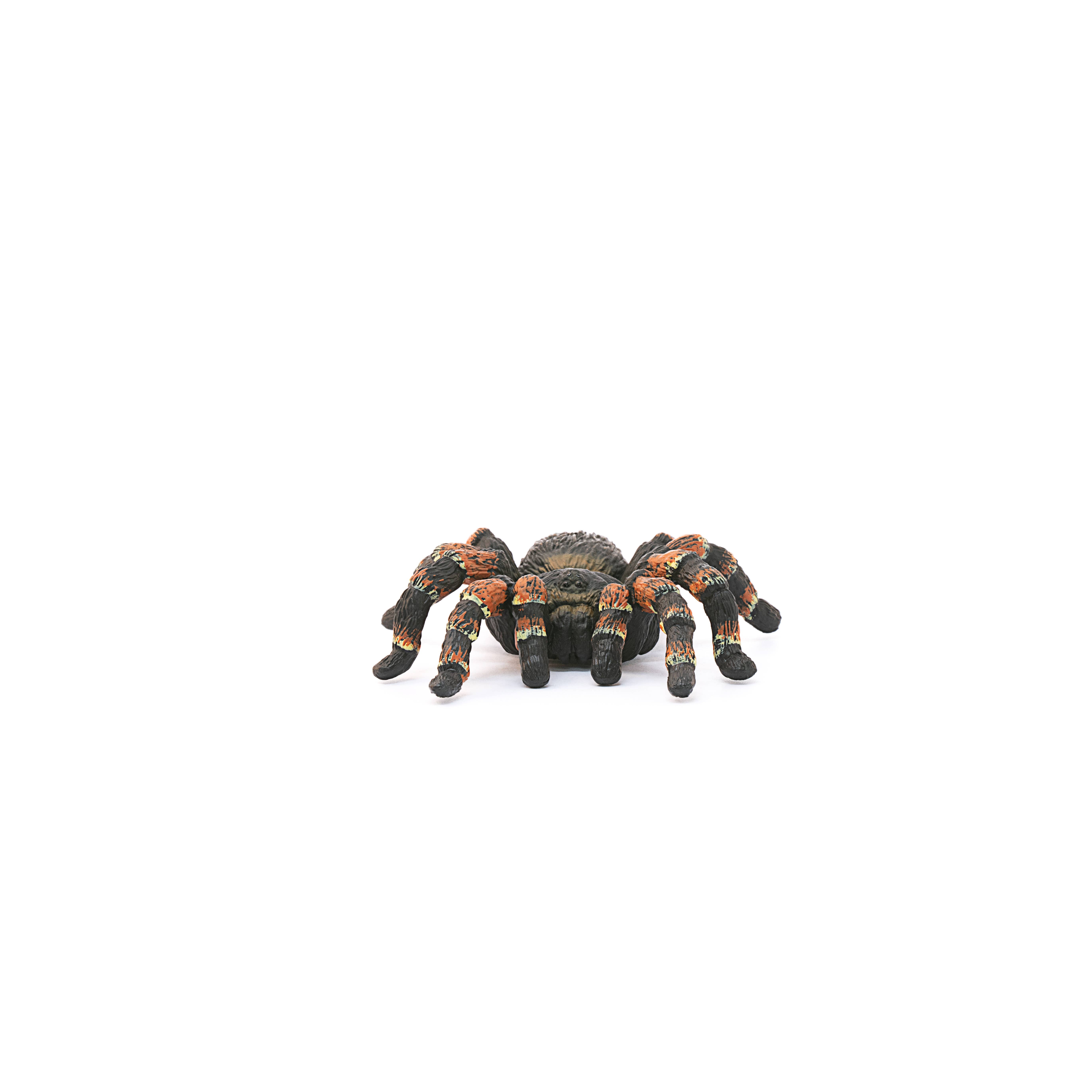 Tarantula Spider Animal Toy, photo 2 of 5