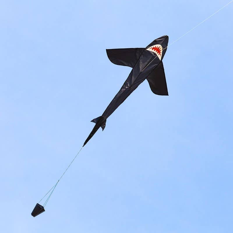 Ecoline Shark Kite 5', photo 4 of 4