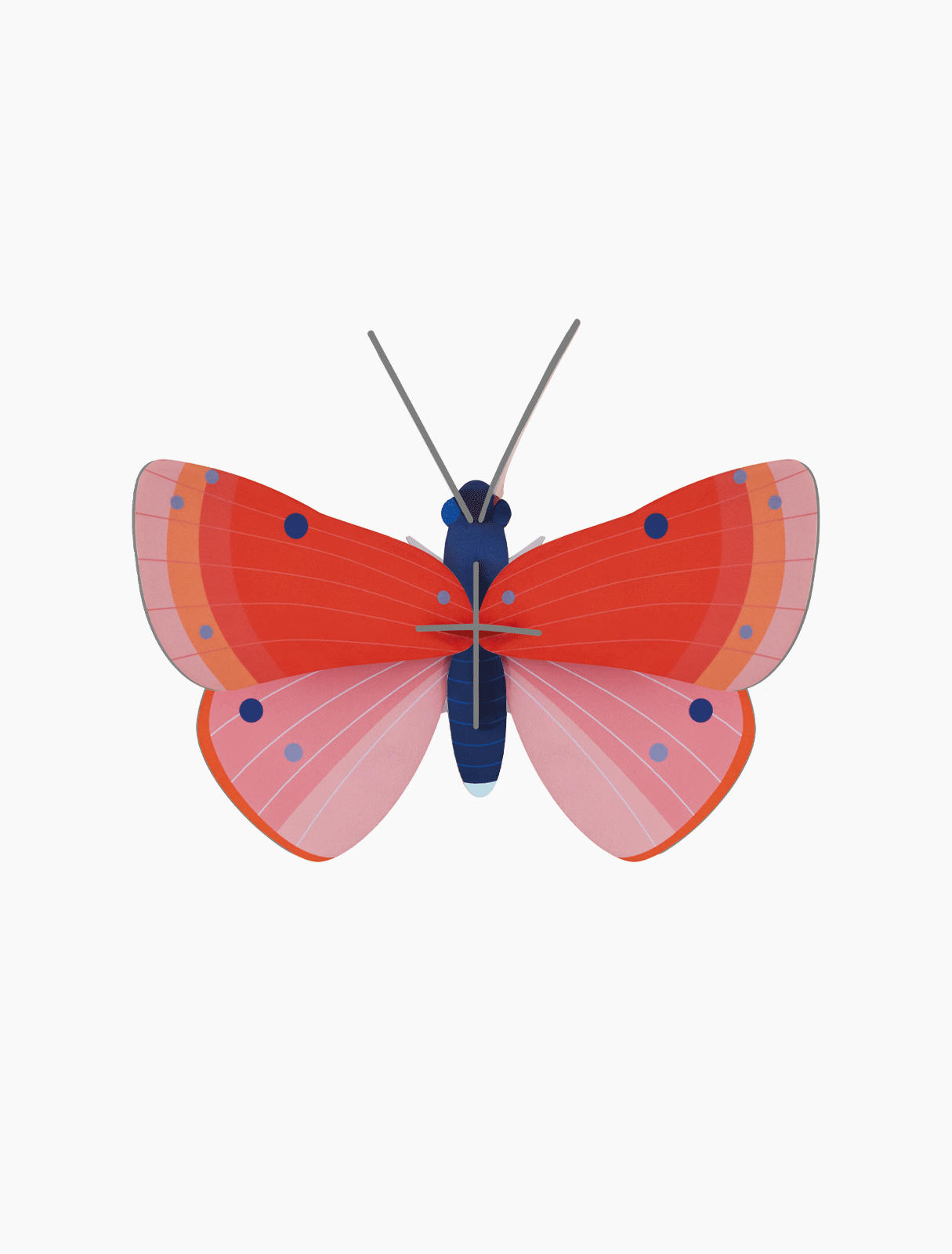 Speckled Copper Butterfly, photo 1 of 4