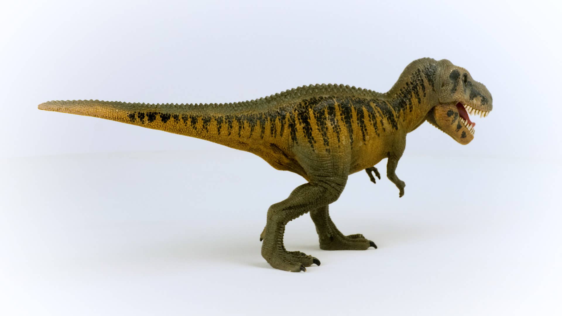 Tarbosaurus Dinosaur Toy, photo 5 of 5
