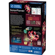 Solar Flower - Ruby Ripple, photo 6 of 6