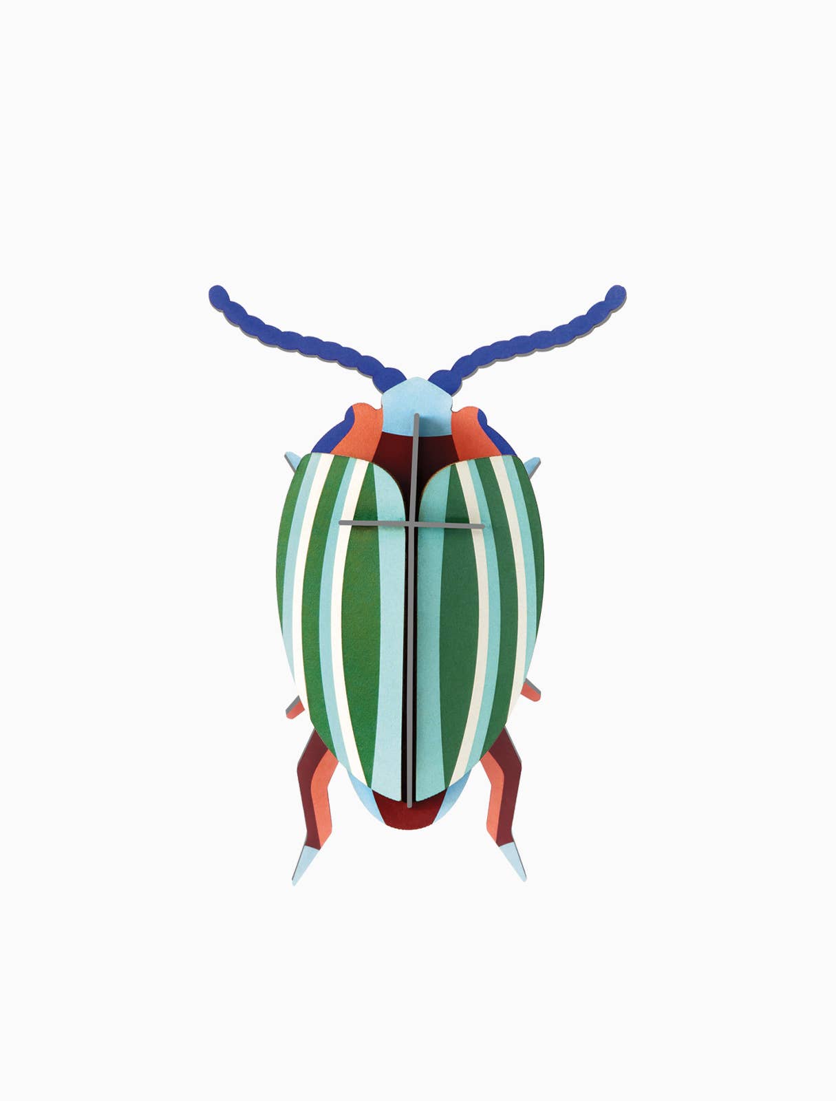 Rainbow Leaf Beetle, photo 1 of 4