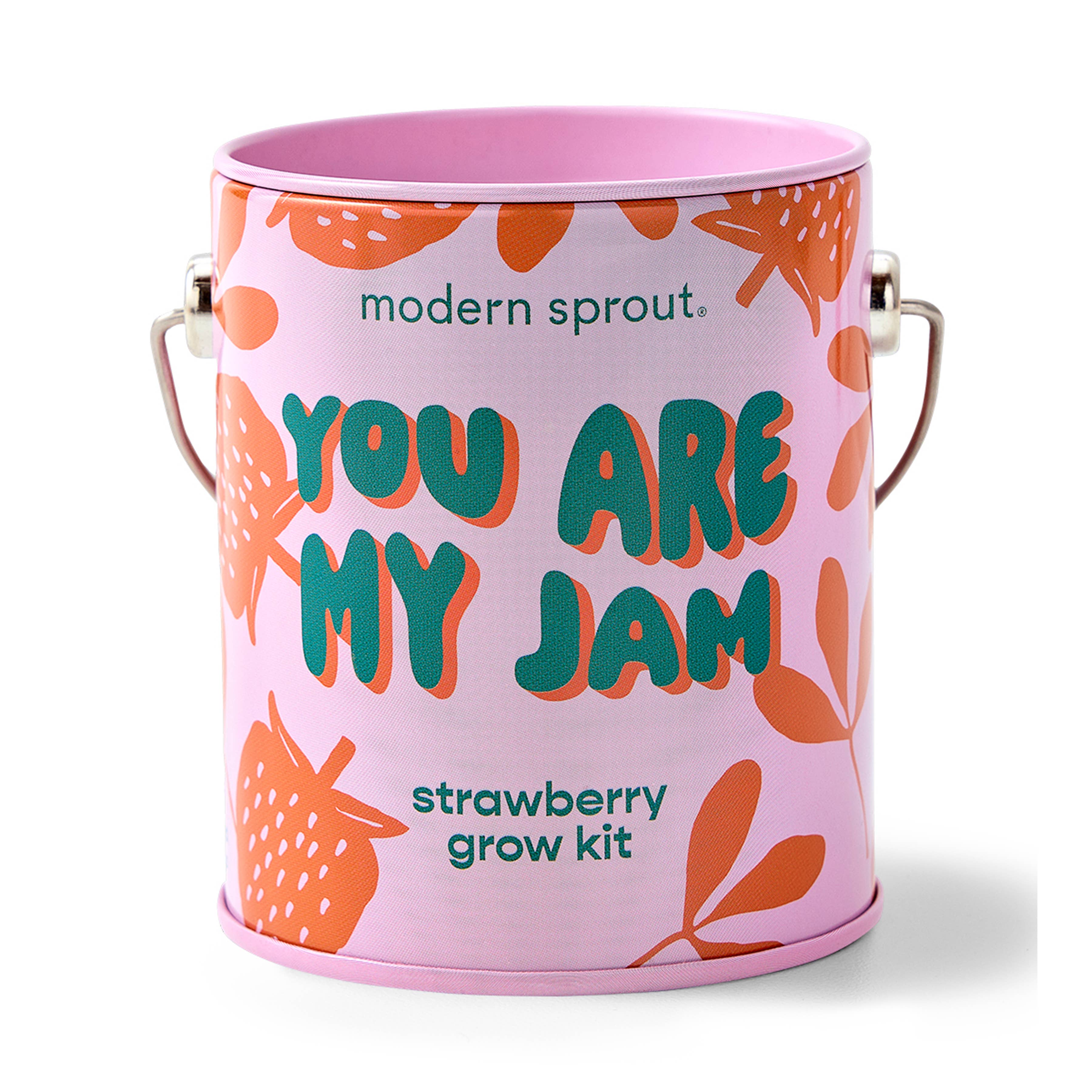 Complimentary Color Grow Kits: You are My Jam, photo 1 of 8