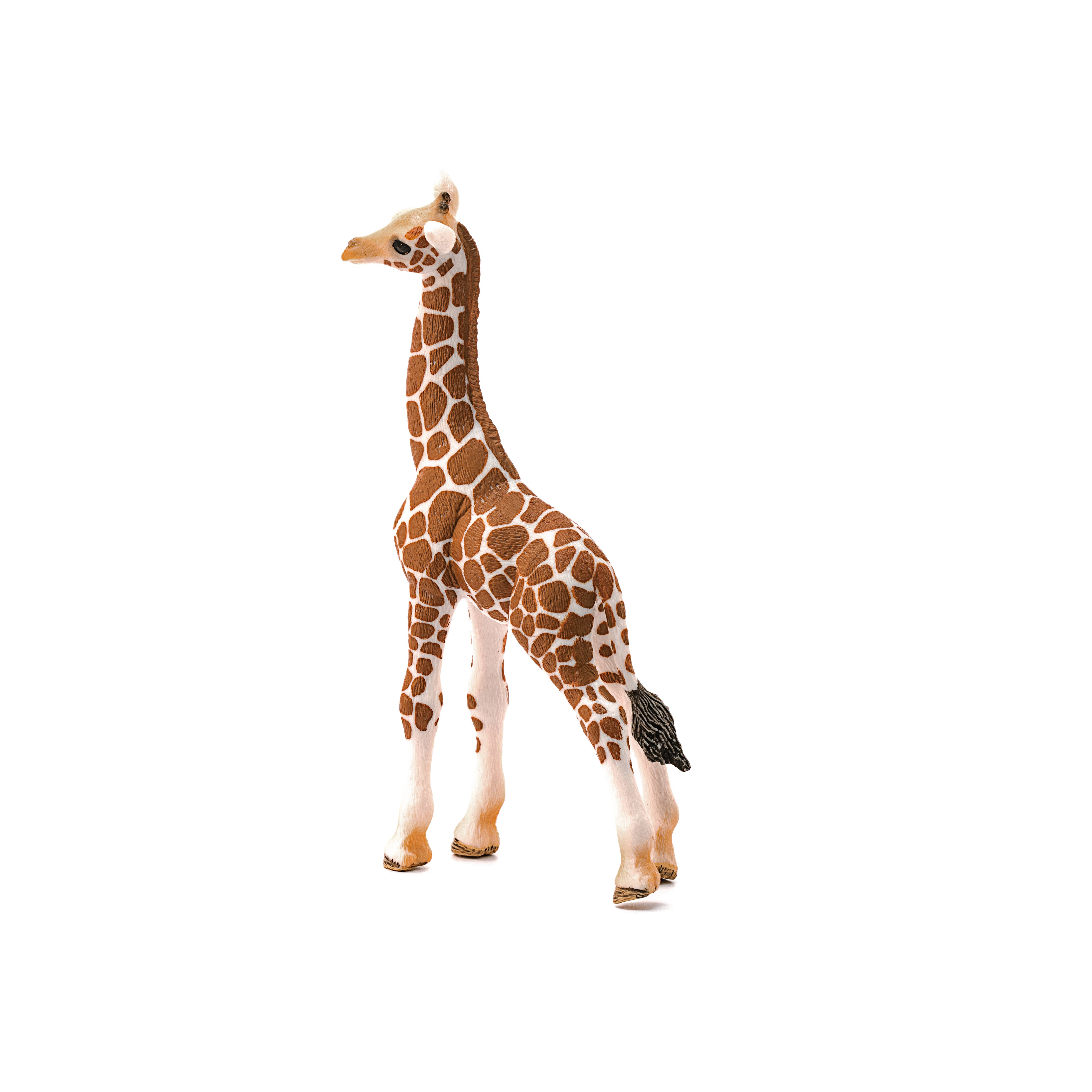 Giraffe Calf Safari Animal Toy, photo 4 of 4