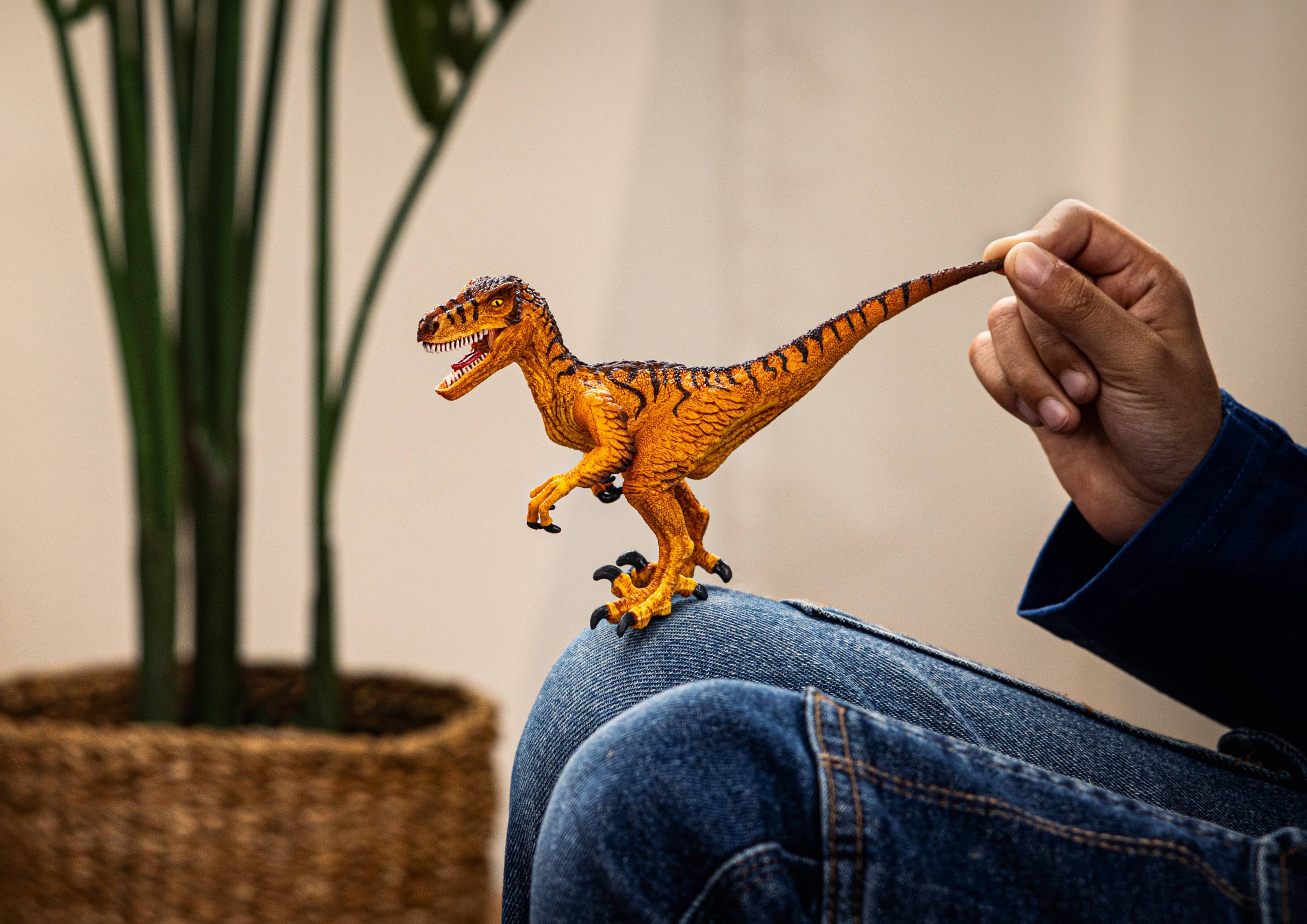 Velociraptor, photo 3 of 4