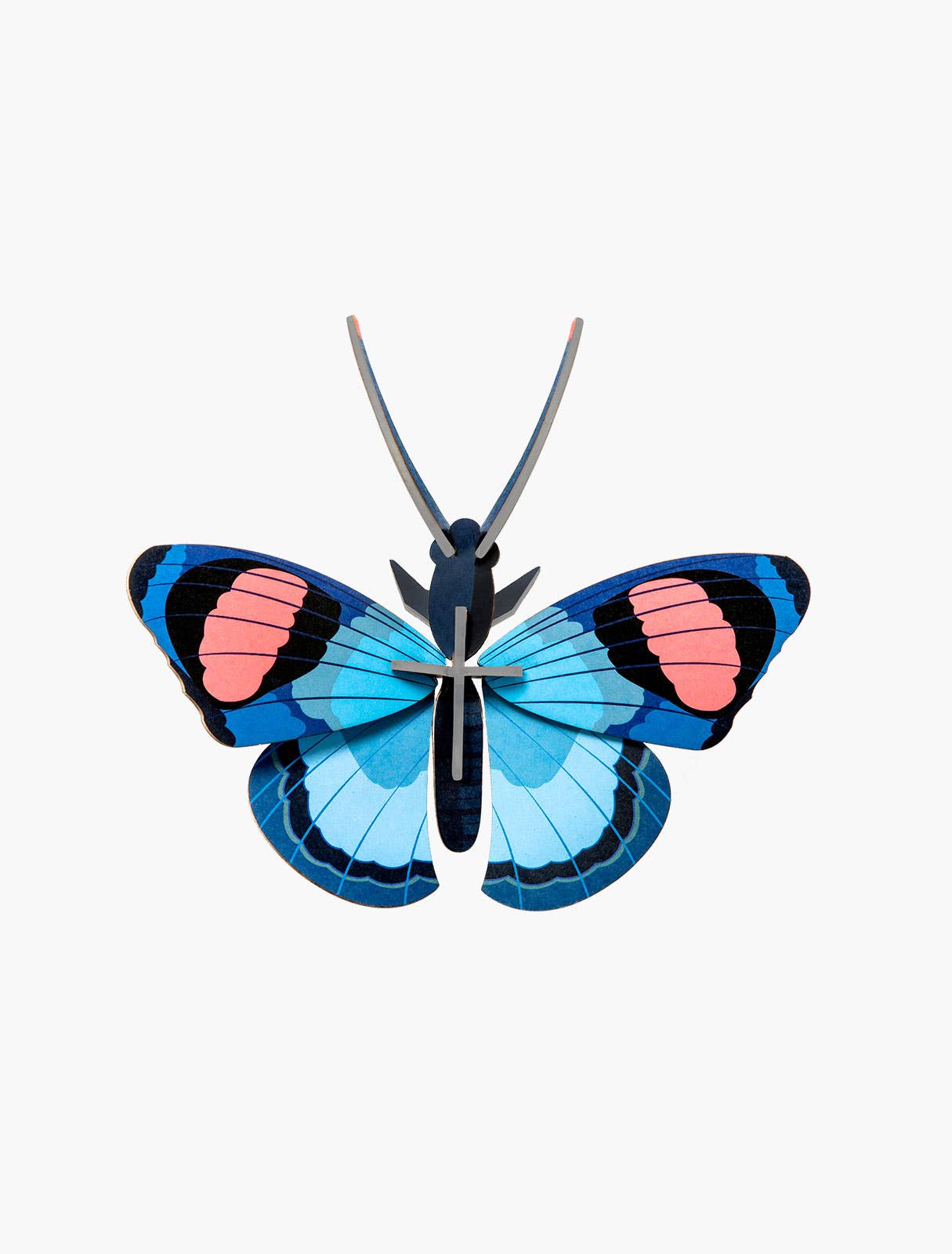 Peacock Butterfly, photo 1 of 4