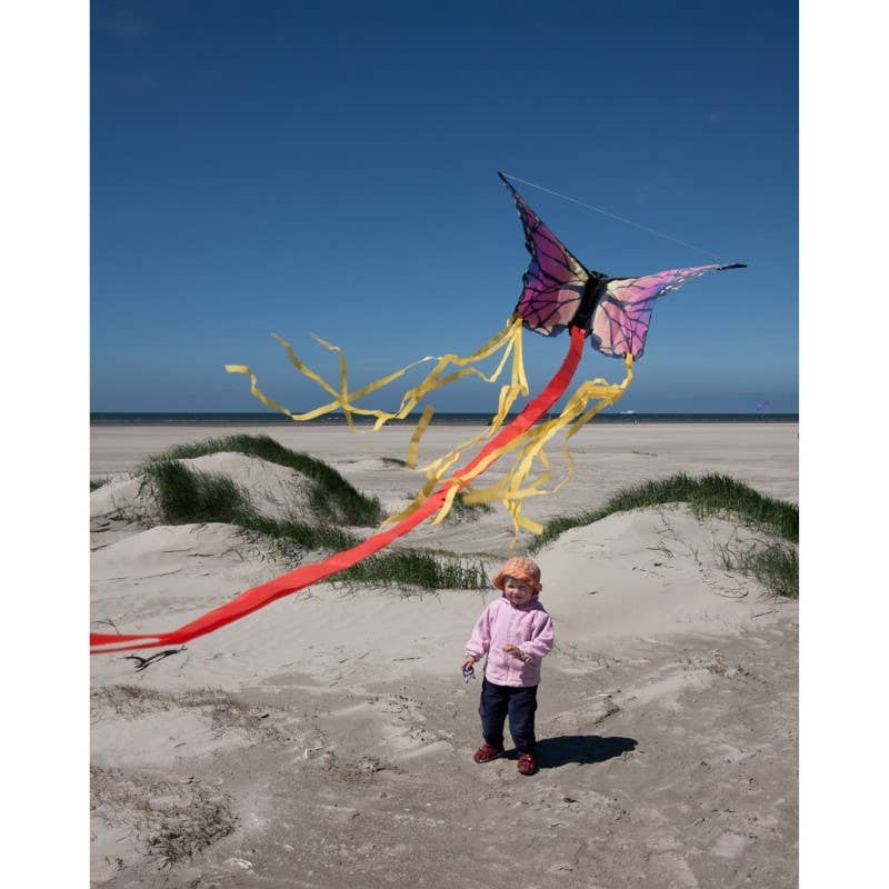 Butterfly Kite Ruby "R", photo 4 of 4