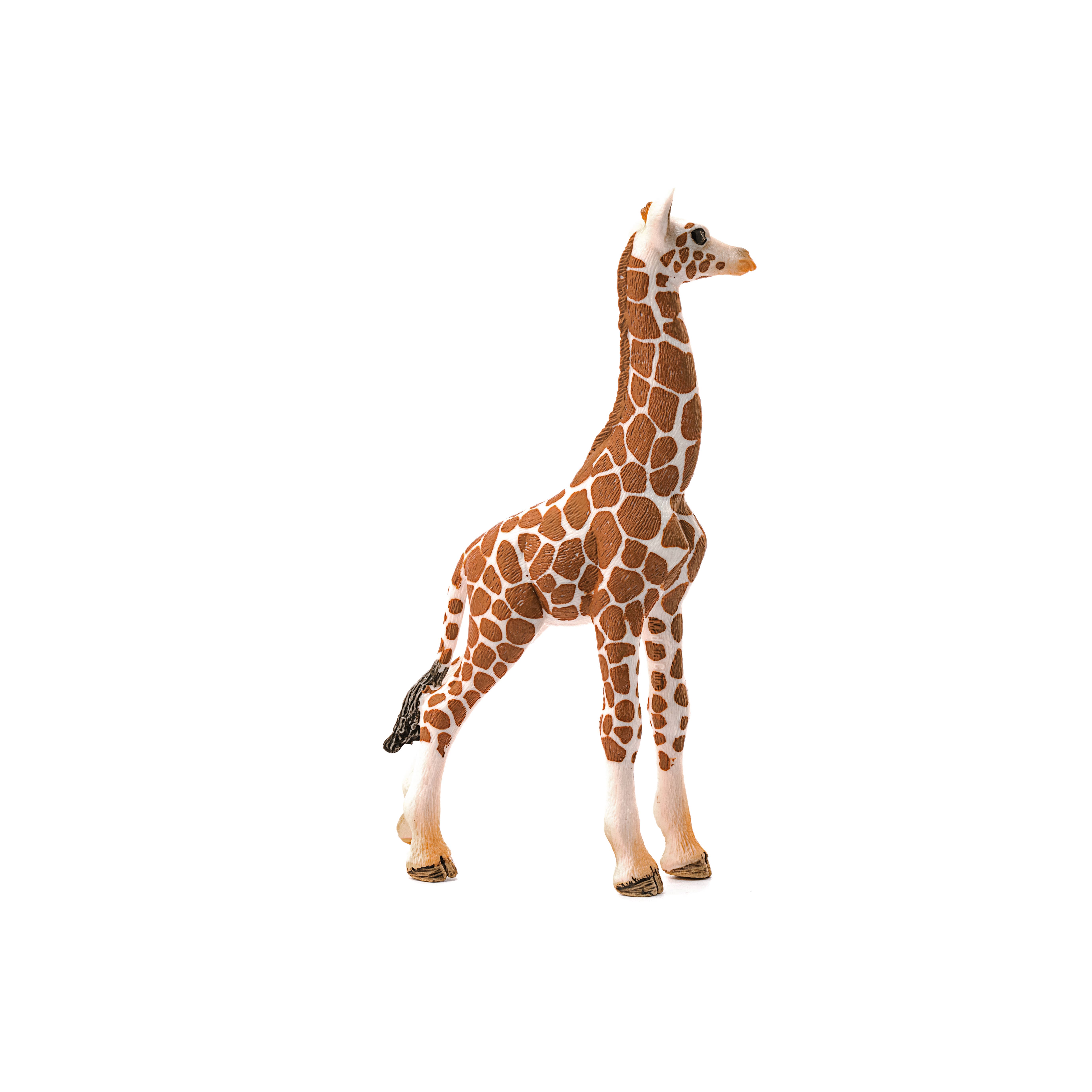 Giraffe Calf Safari Animal Toy, photo 3 of 4