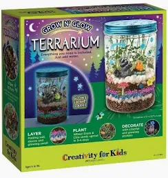 Grow and Glow Terrarium
