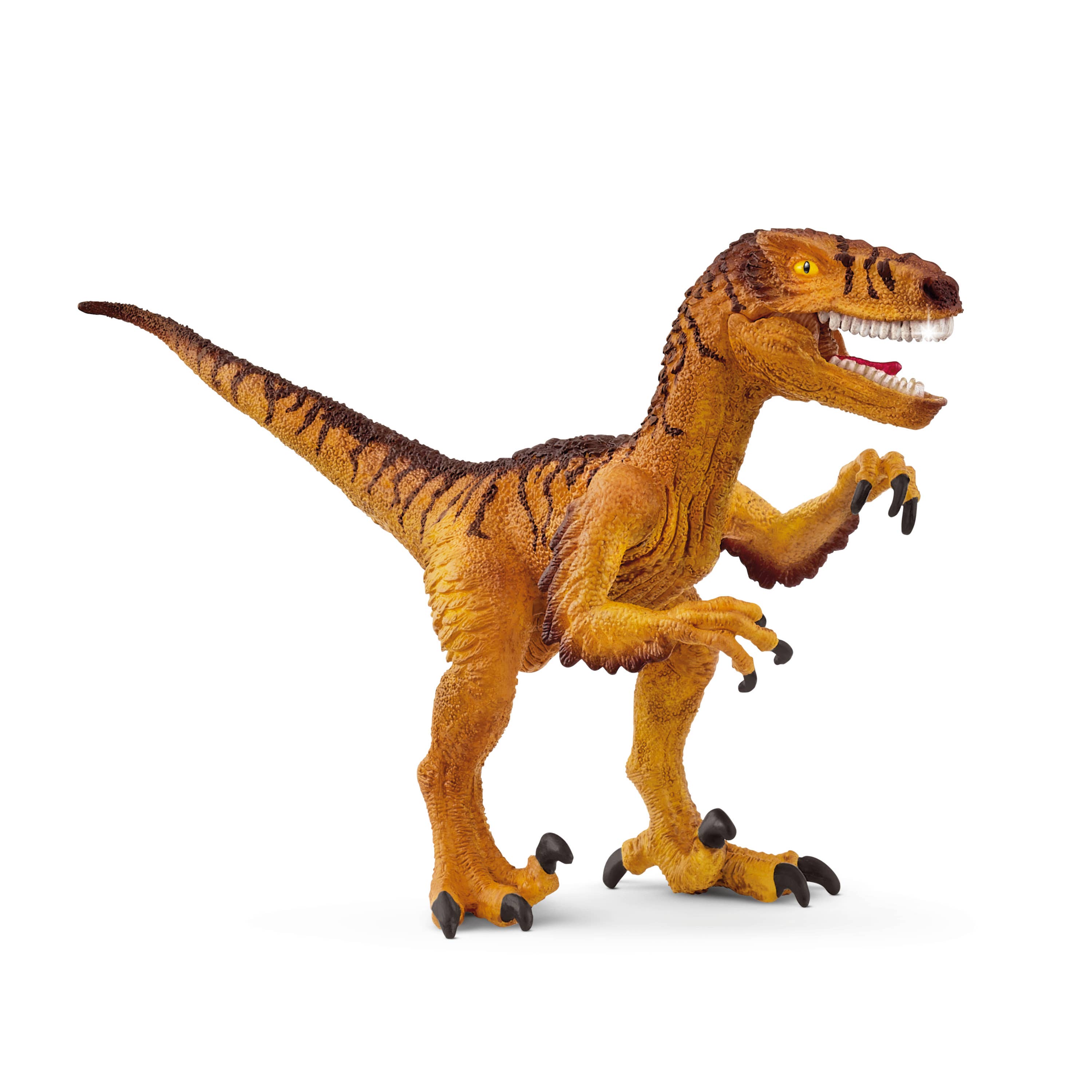 Velociraptor, photo 1 of 4