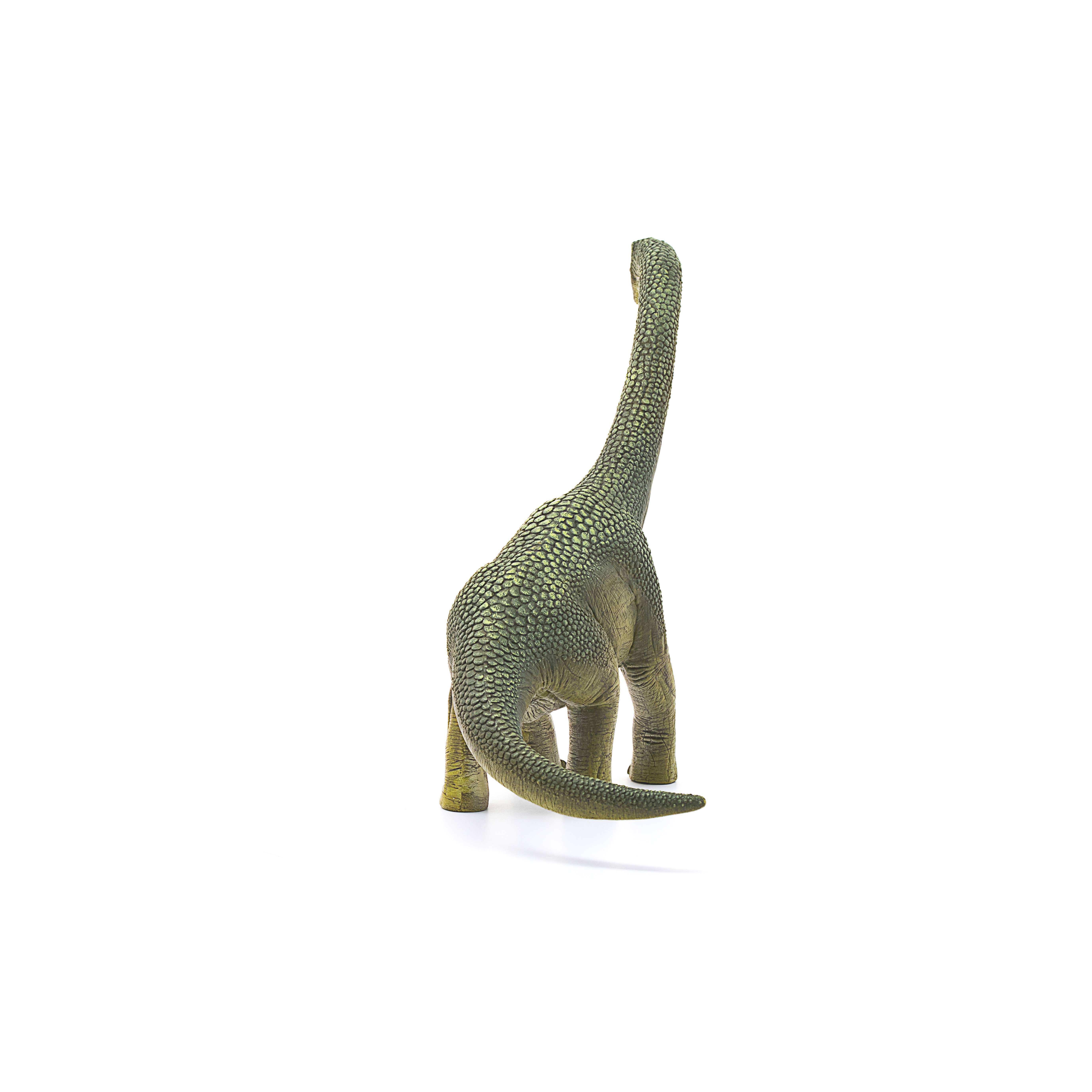Brachiosaurus Realistic Dinosaur Toy, photo 4 of 7