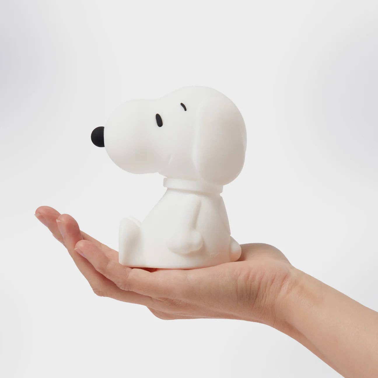 Snoopy First Light: First Light, photo 3 of 8