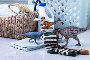 Velociraptor, photo 4 of 4