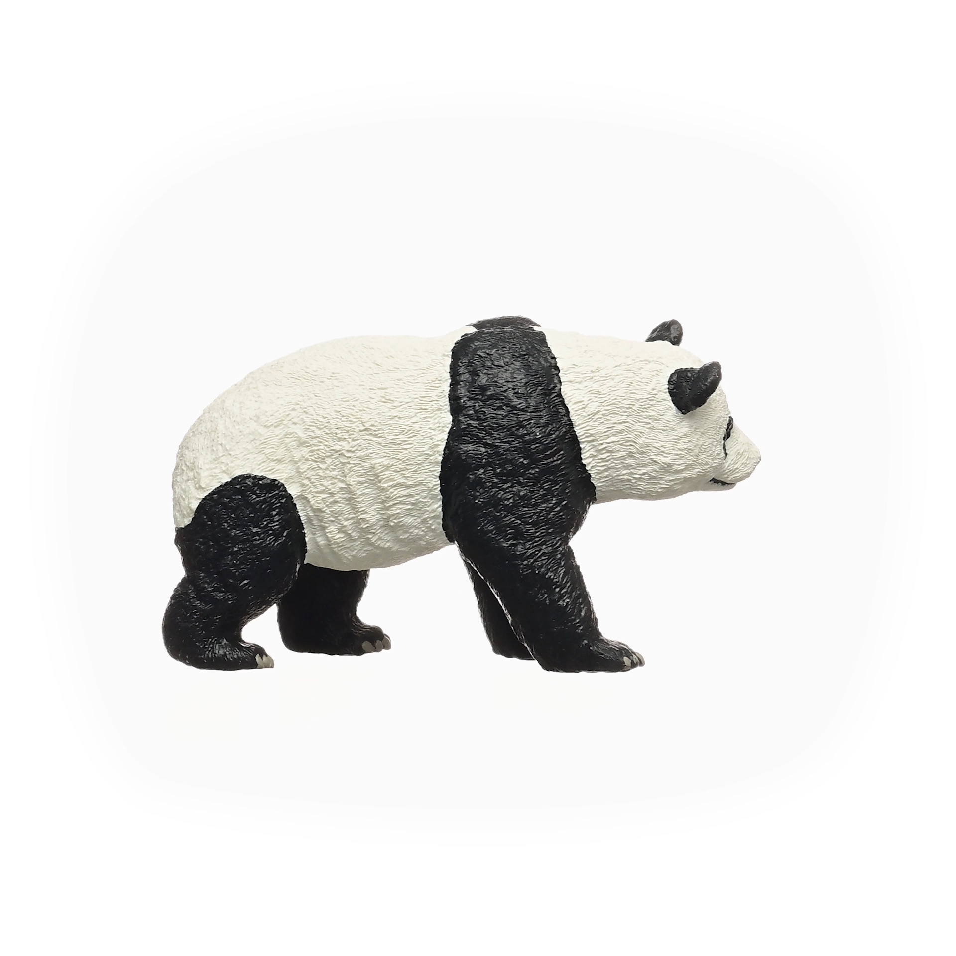 Giant Panda, photo 2 of 5
