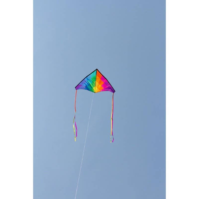 Delta Rainbow Kite, photo 4 of 5