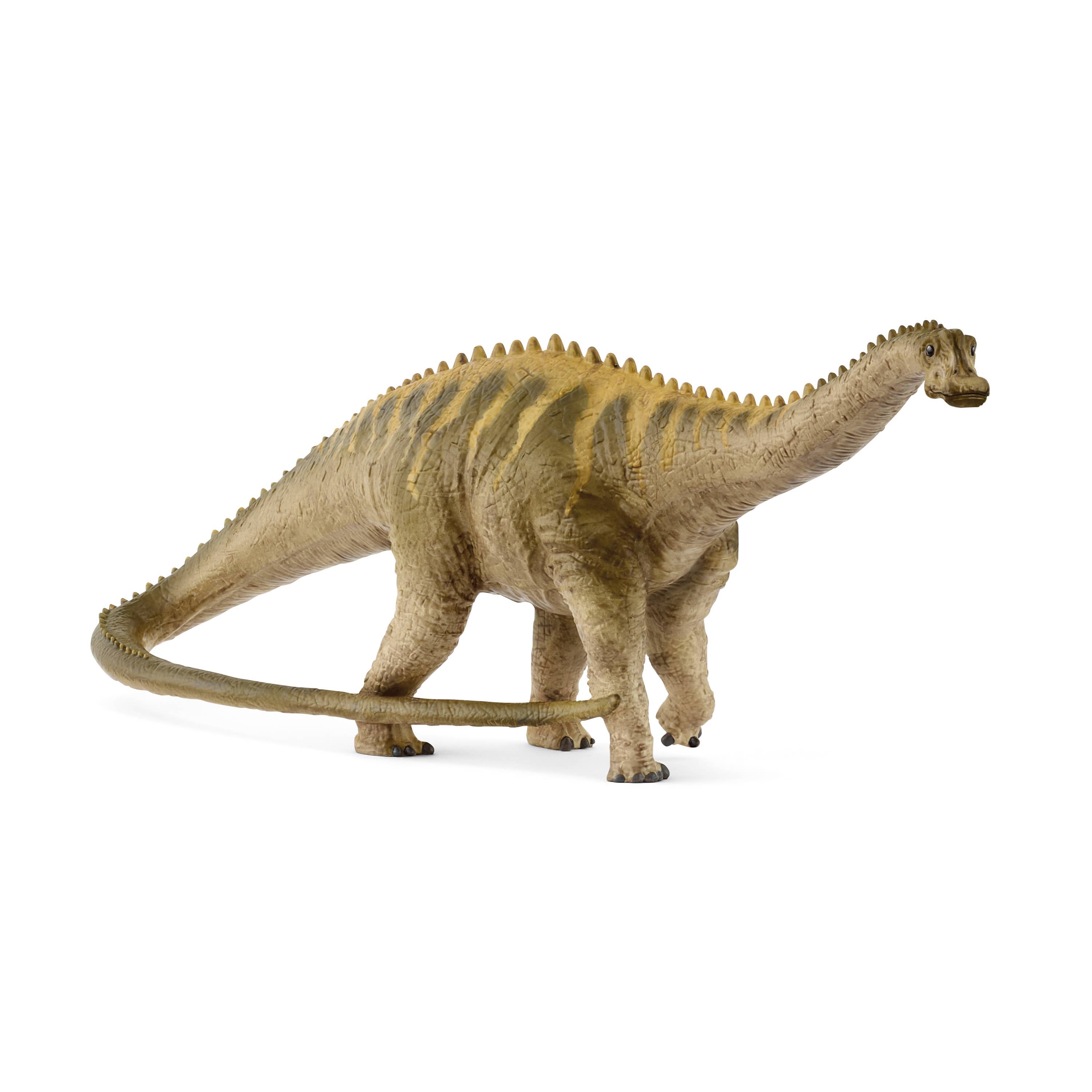 Diplodocus, photo 1 of 2