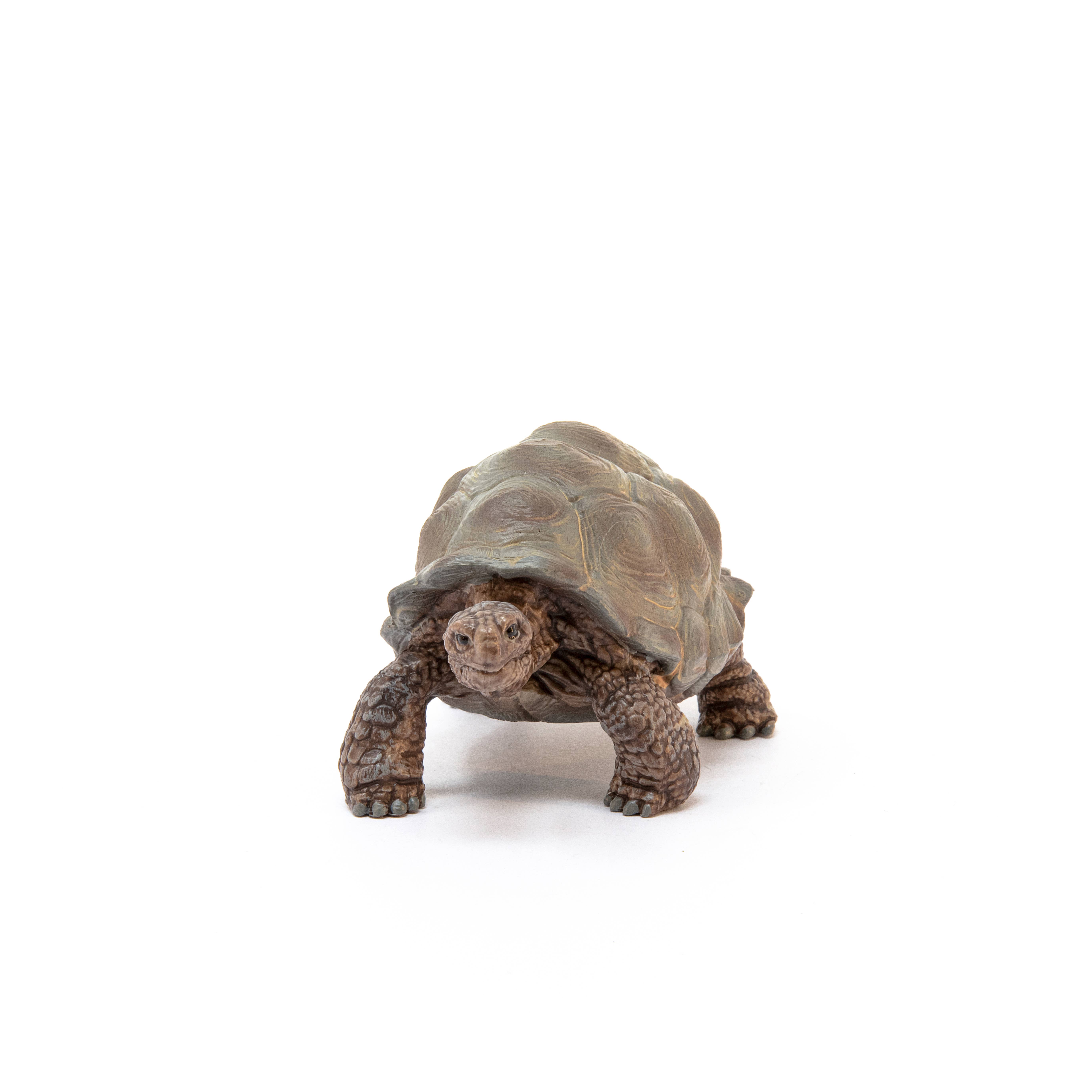 Giant Tortoise Animal Toy, photo 2 of 5