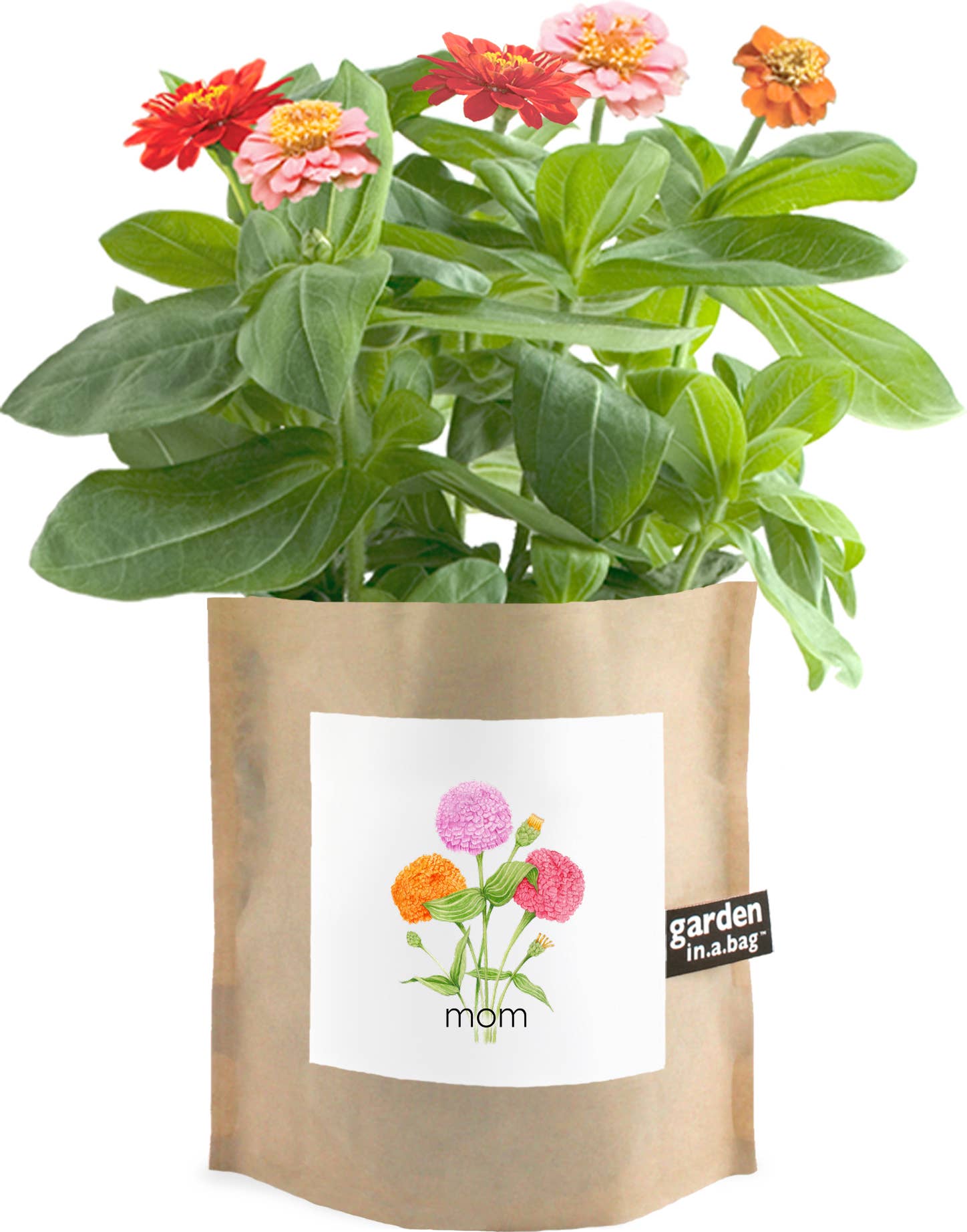 Garden in a Bag | Mom | Mother's Day | Best Seller, photo 3 of 6
