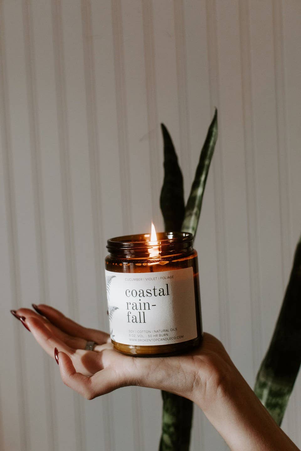 Coastal Rainfall 9oz Soy Candle, photo 8 of 8