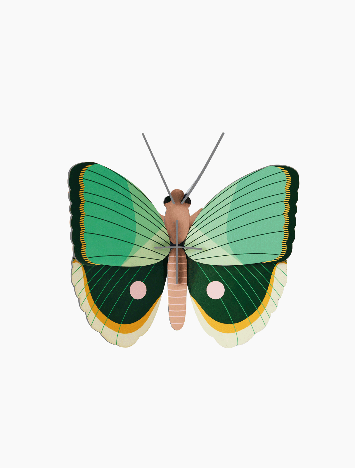 3D wall art - Fern Striped Butterfly, photo 1 of 4