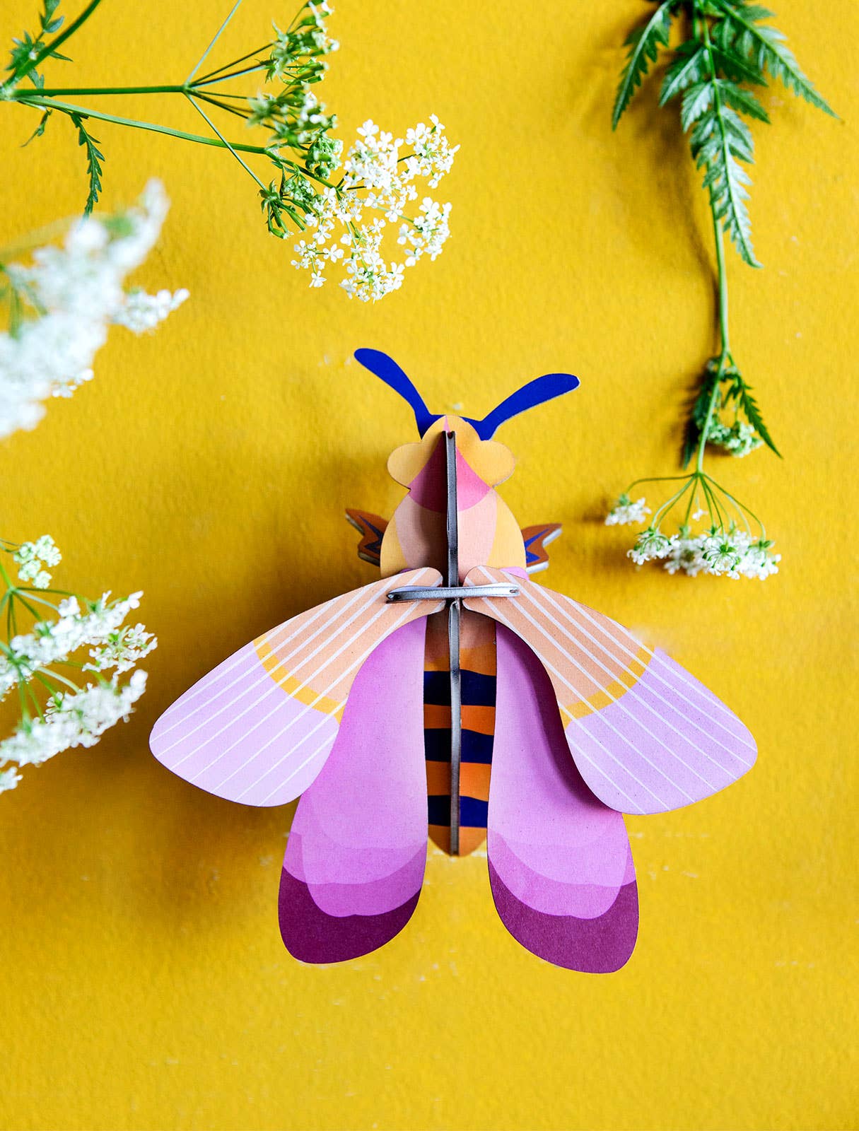 Pink Bee, photo 2 of 4