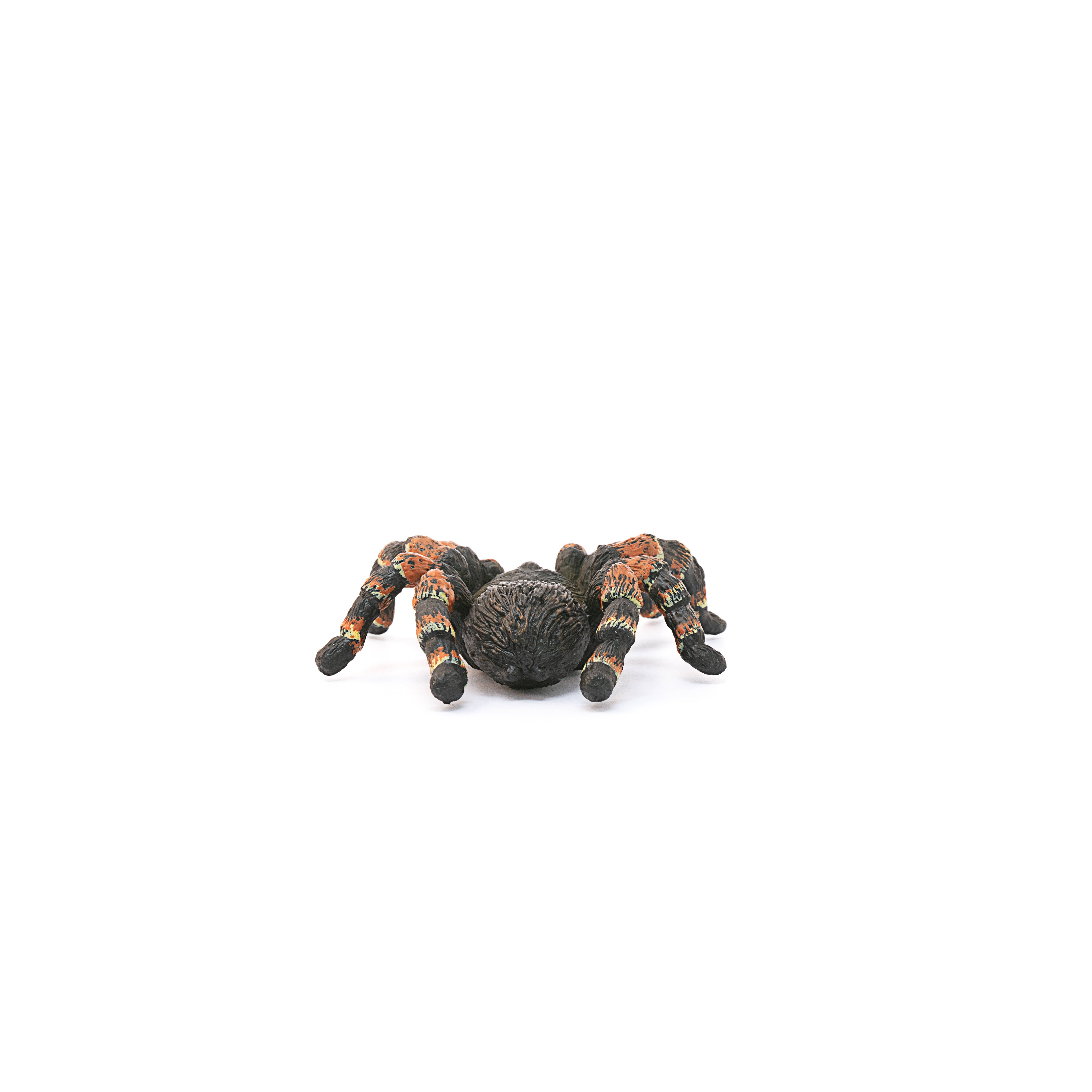 Tarantula Spider Animal Toy, photo 4 of 5