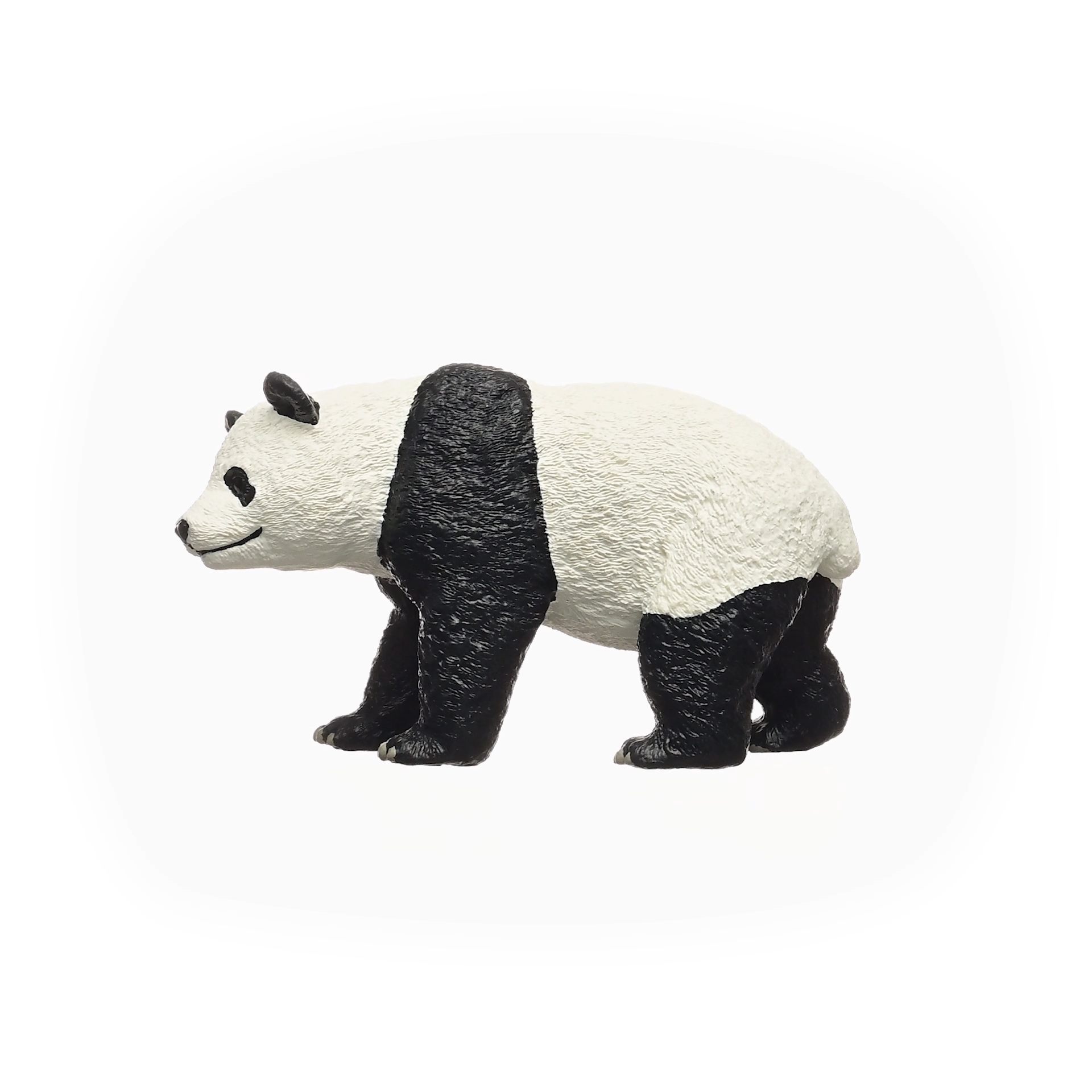 Giant Panda, photo 4 of 5