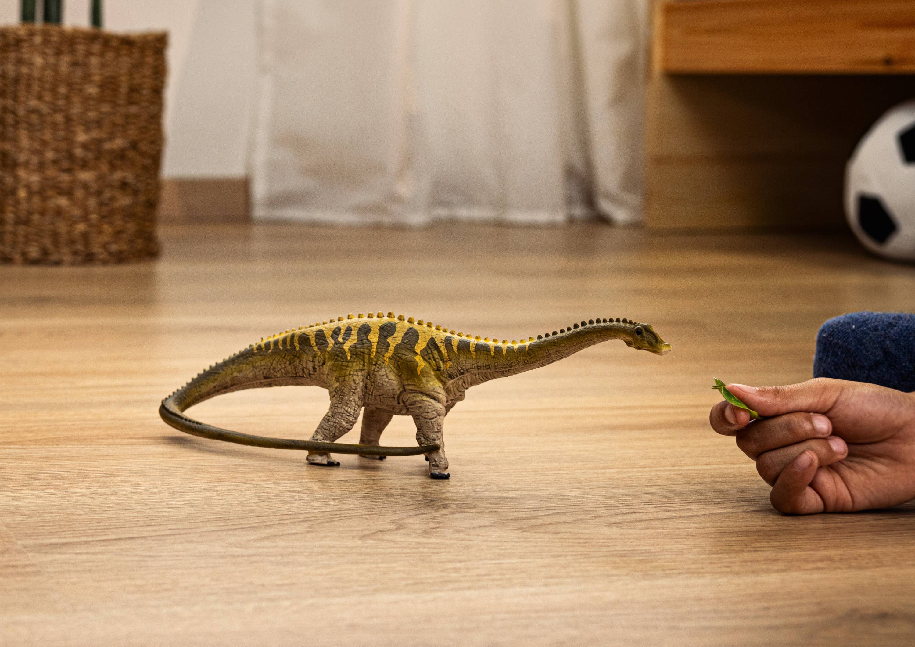 Diplodocus, photo 2 of 2
