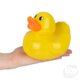 Big Rubber Duckies Colorful, photo 3 of 3