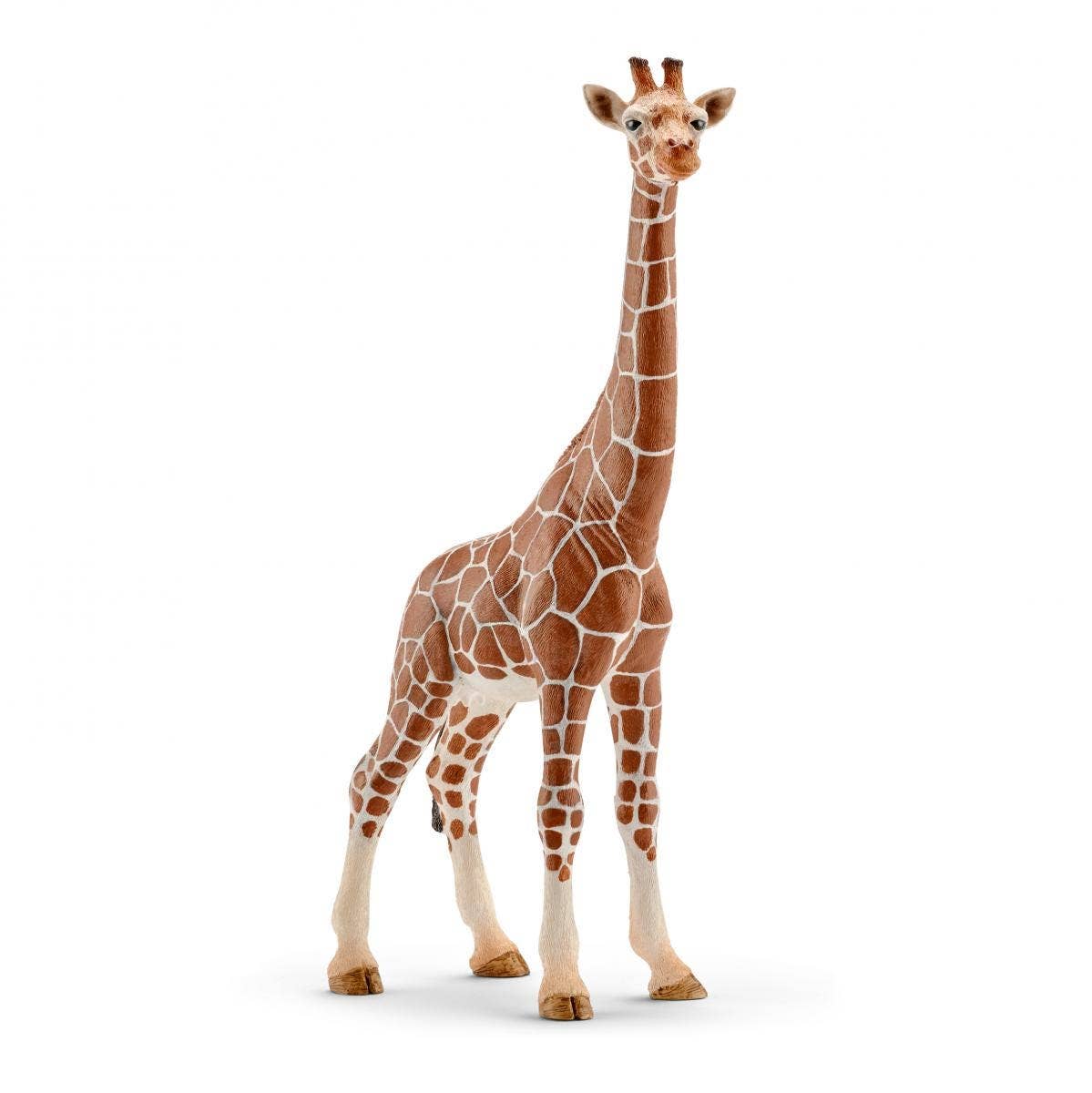 Giraffe, Female Safari Animal Toy, photo 1 of 6