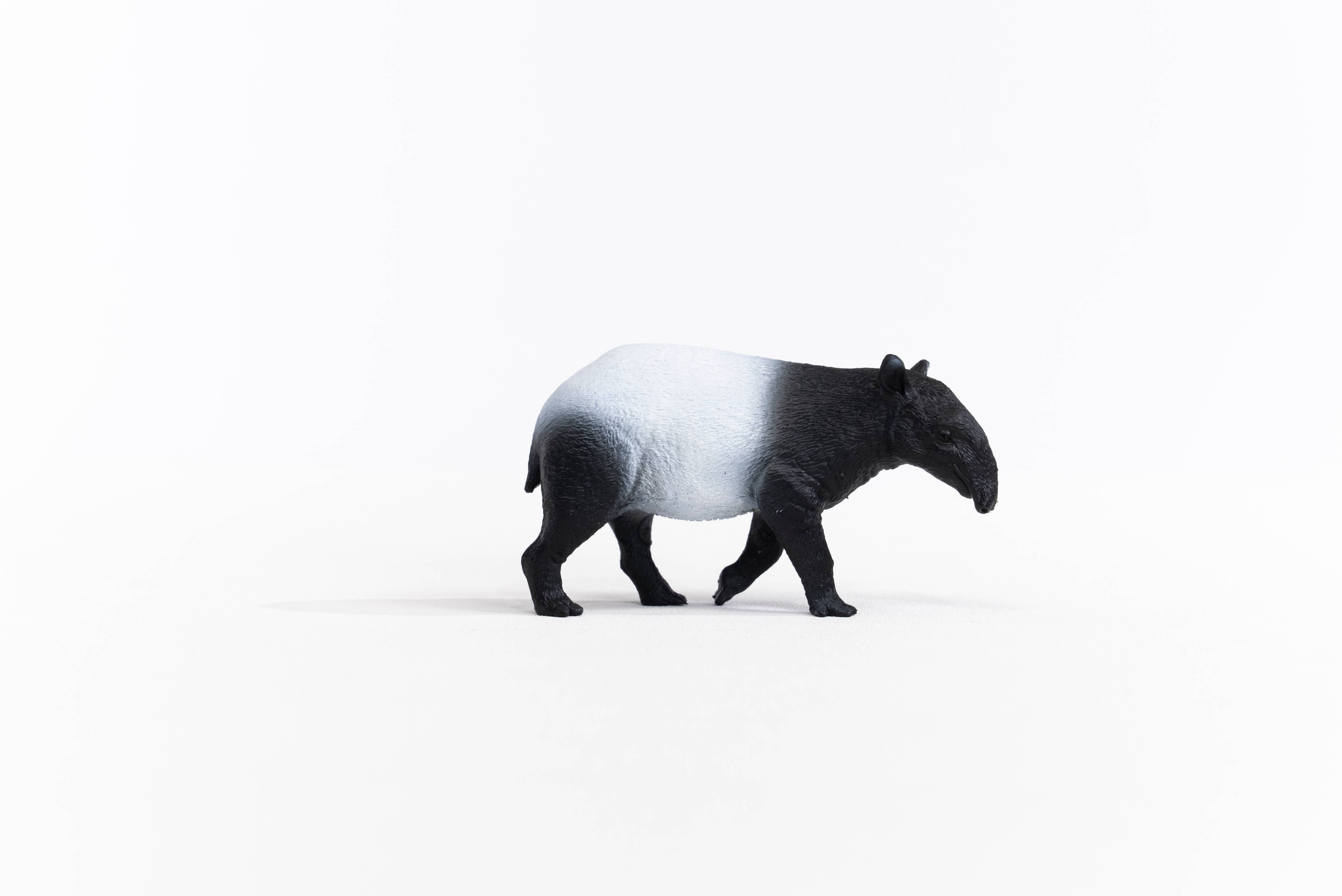 schleich Wild Life Tapir