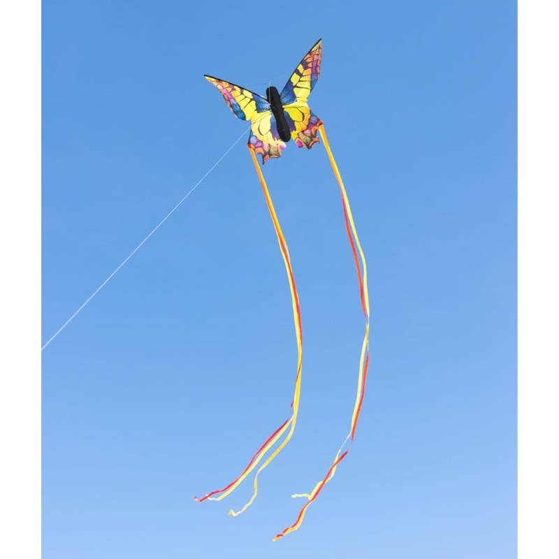 Butterfly Kite Swallowtail "L", photo 7 of 7