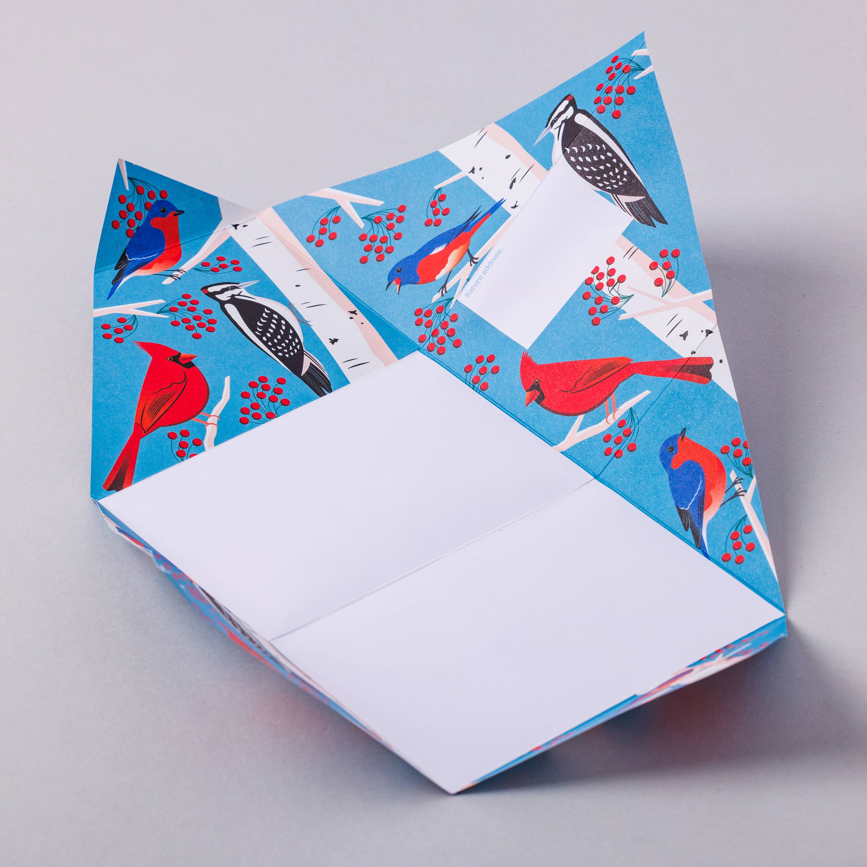 Carnival of Colour Pigeon, Folding Letter Pack, Pack of 6, photo 3 of 4