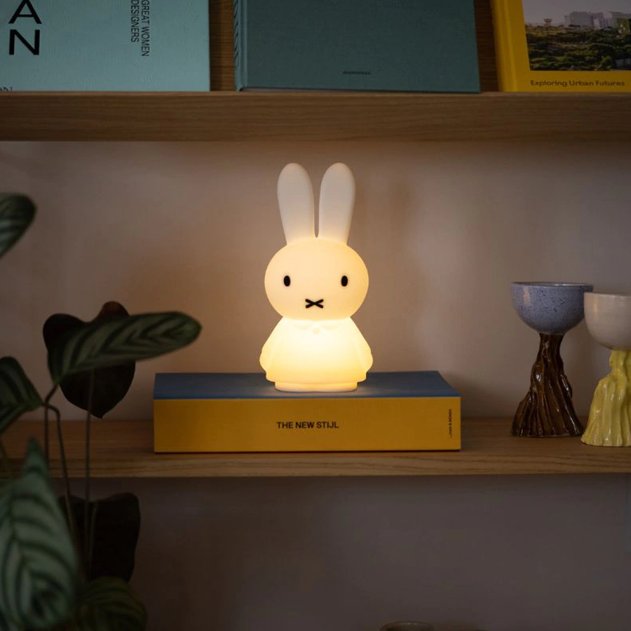 Mr Maria Miffy Shines Light, photo 2 of 2