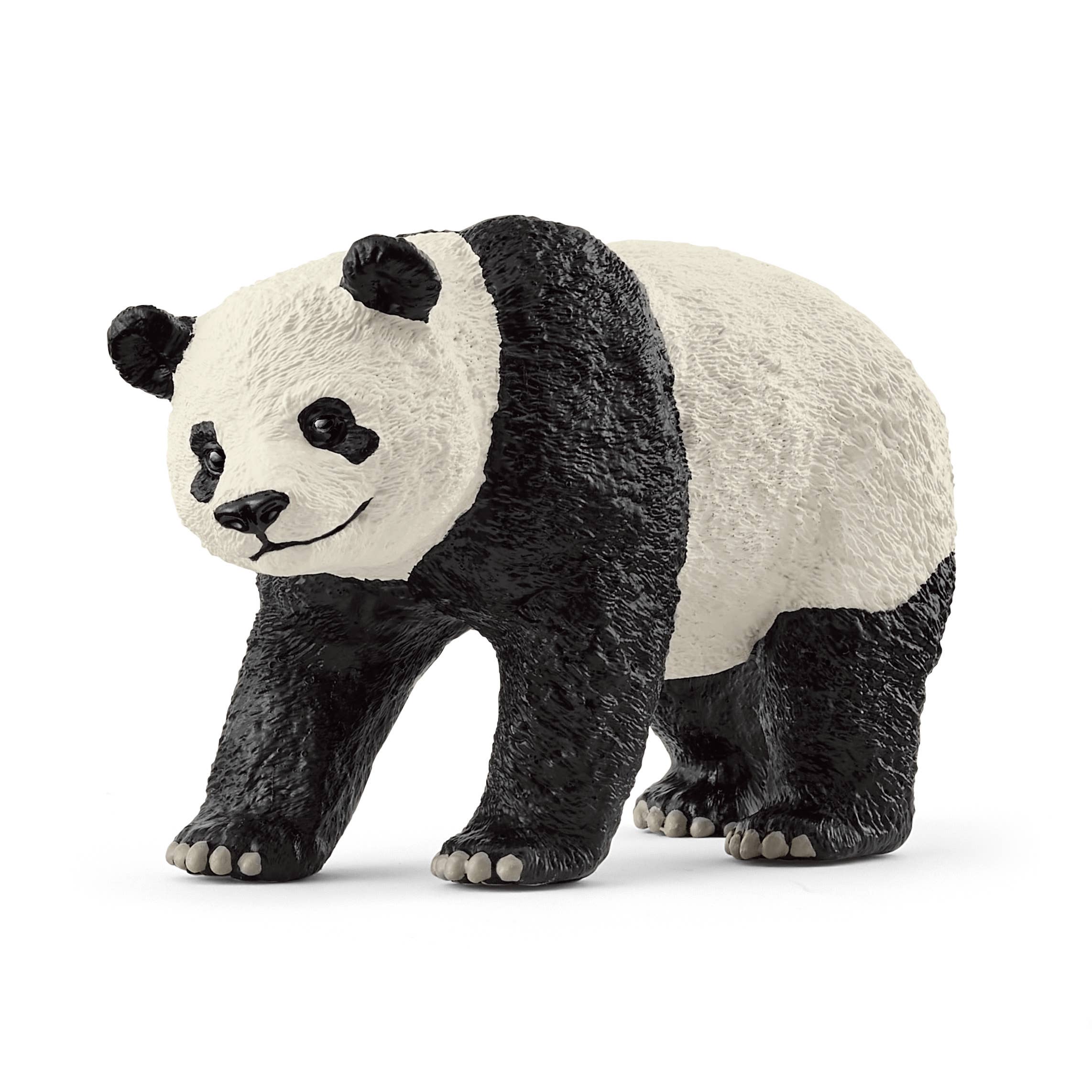 Giant Panda, photo 1 of 5