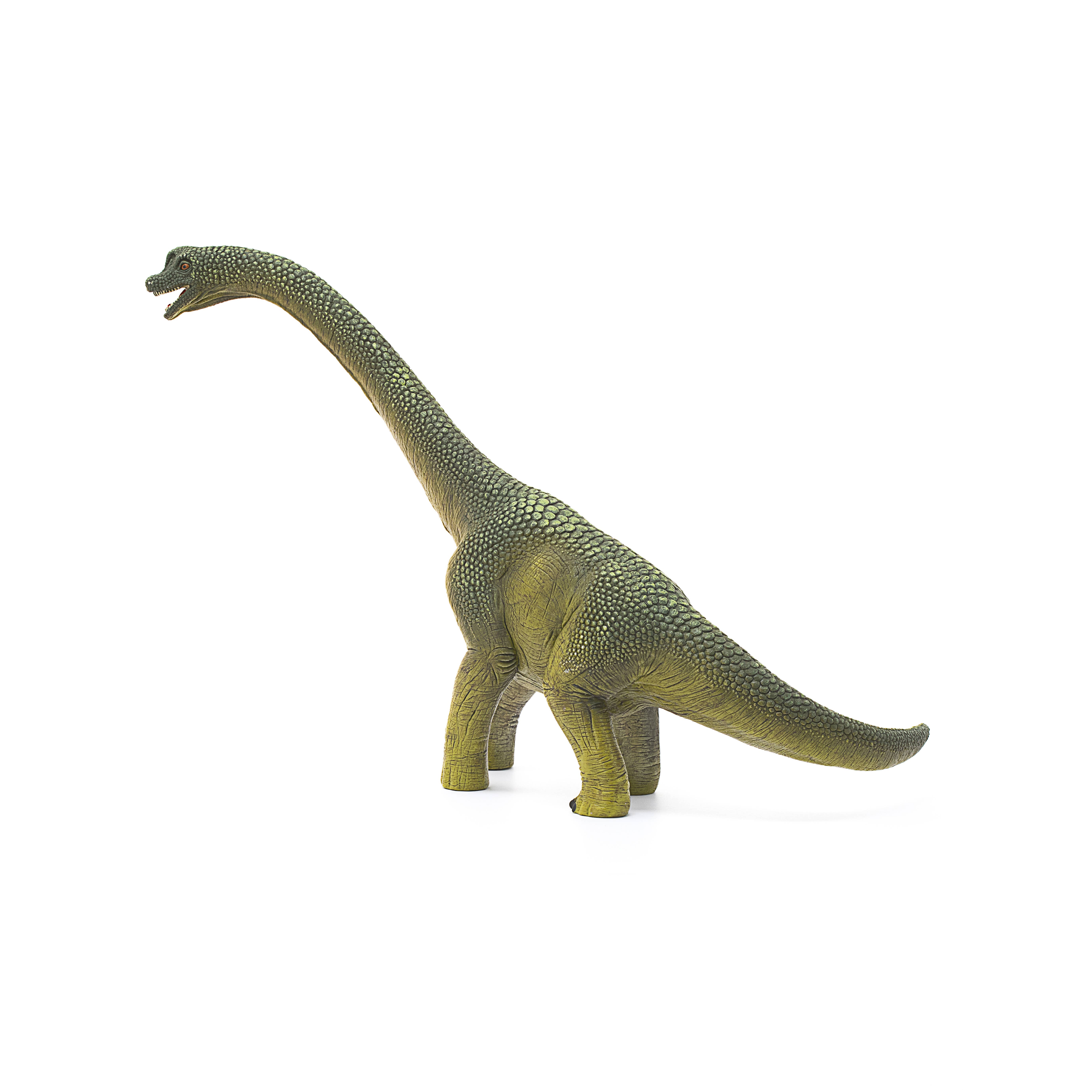 Brachiosaurus Realistic Dinosaur Toy, photo 3 of 7
