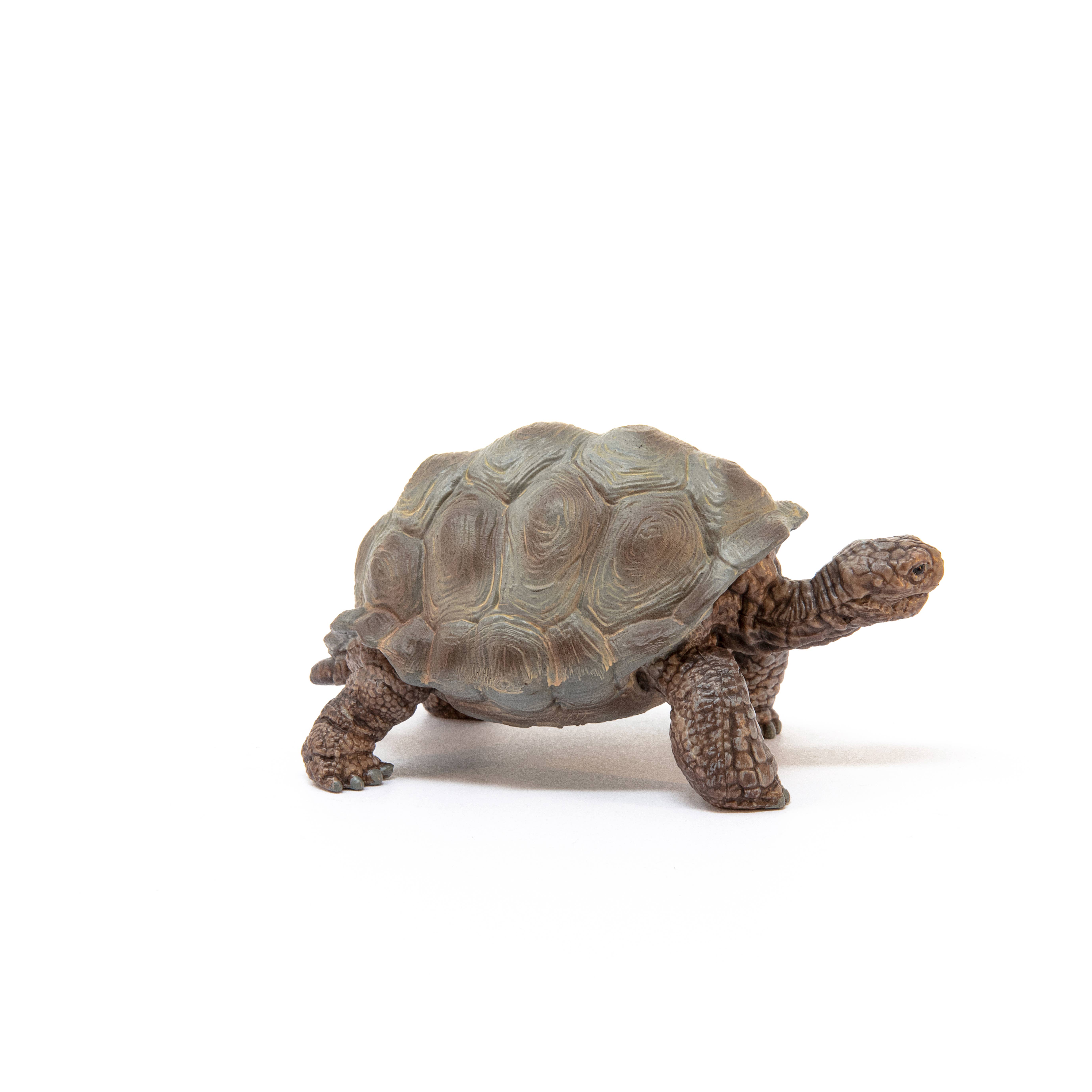Giant Tortoise Animal Toy, photo 4 of 5