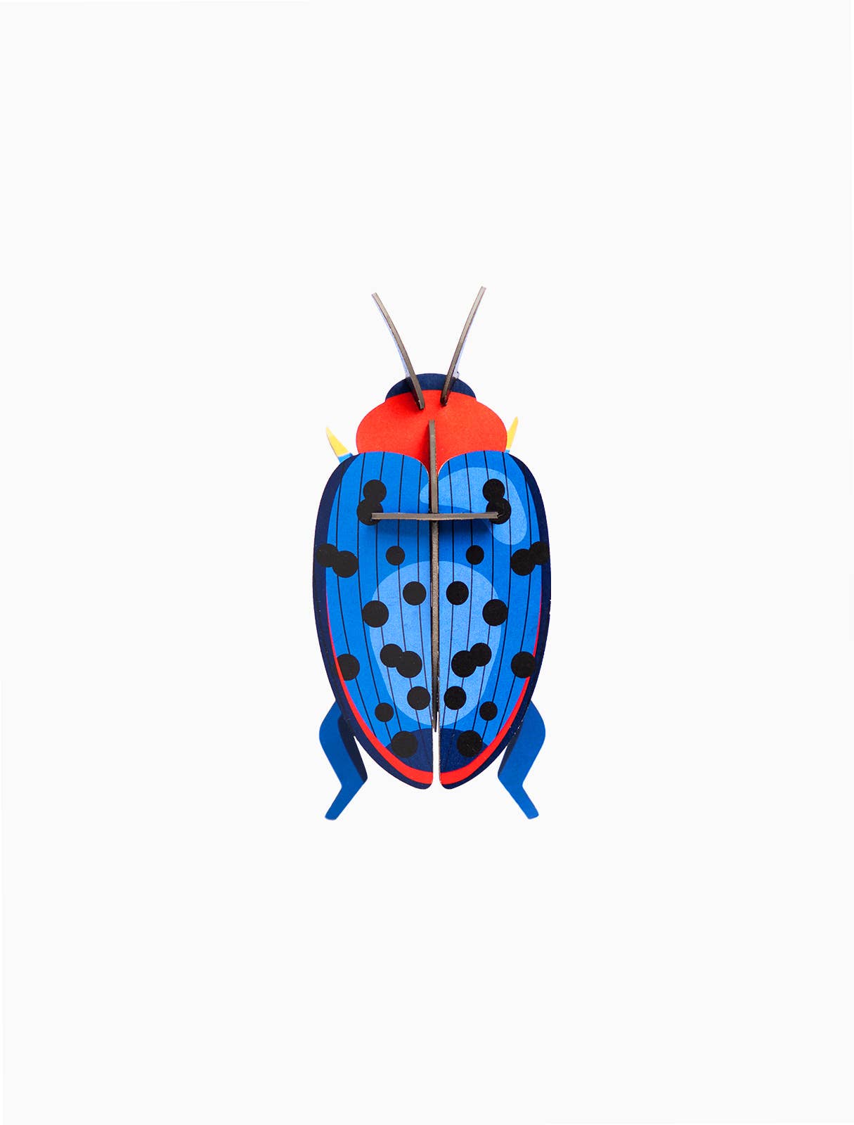3D wall art - Fungus Beetle, photo 1 of 4