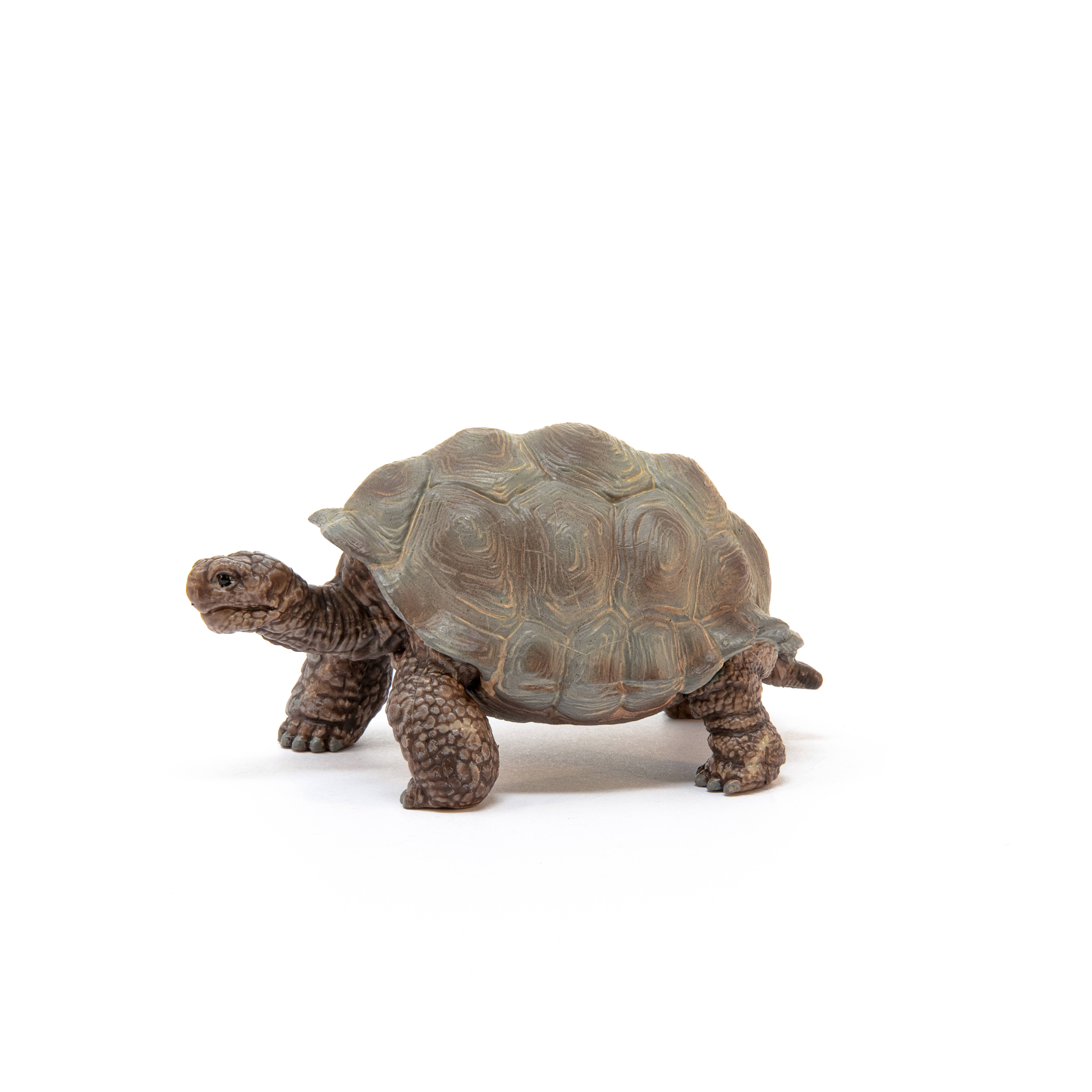 Giant Tortoise Animal Toy, photo 3 of 5