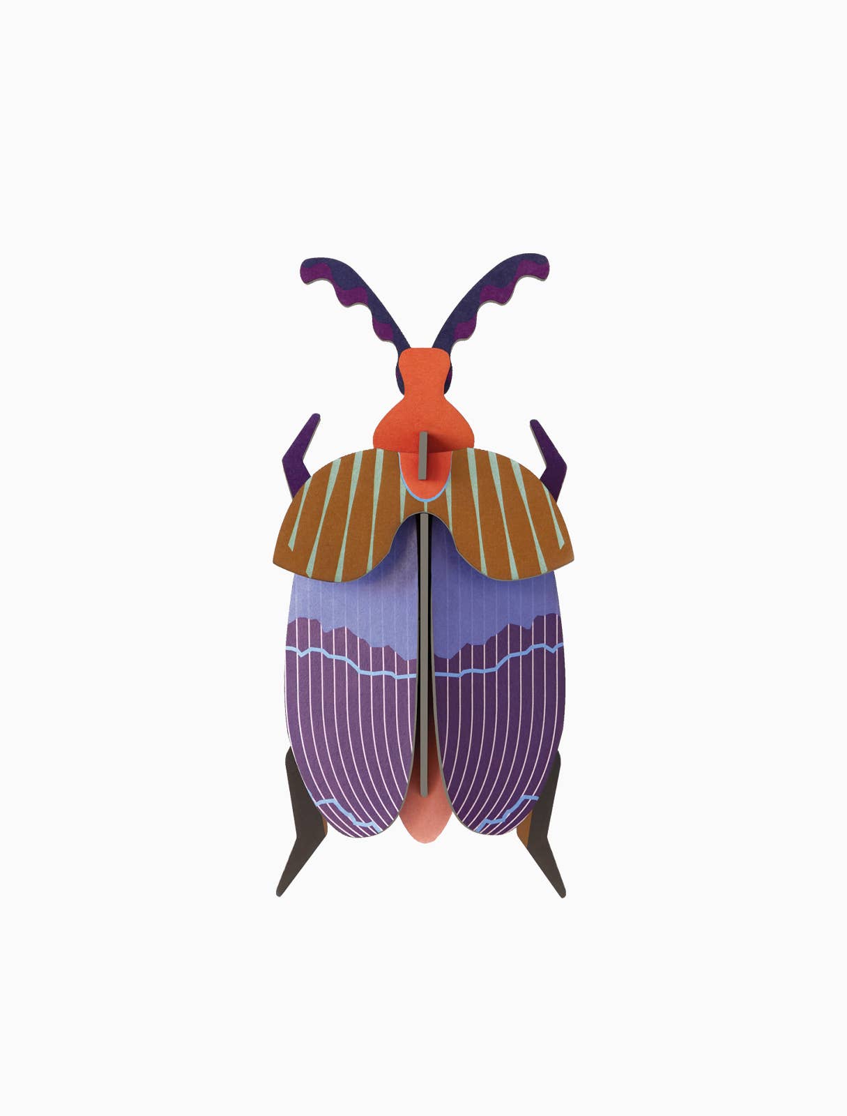 Queen Beetle, photo 1 of 4