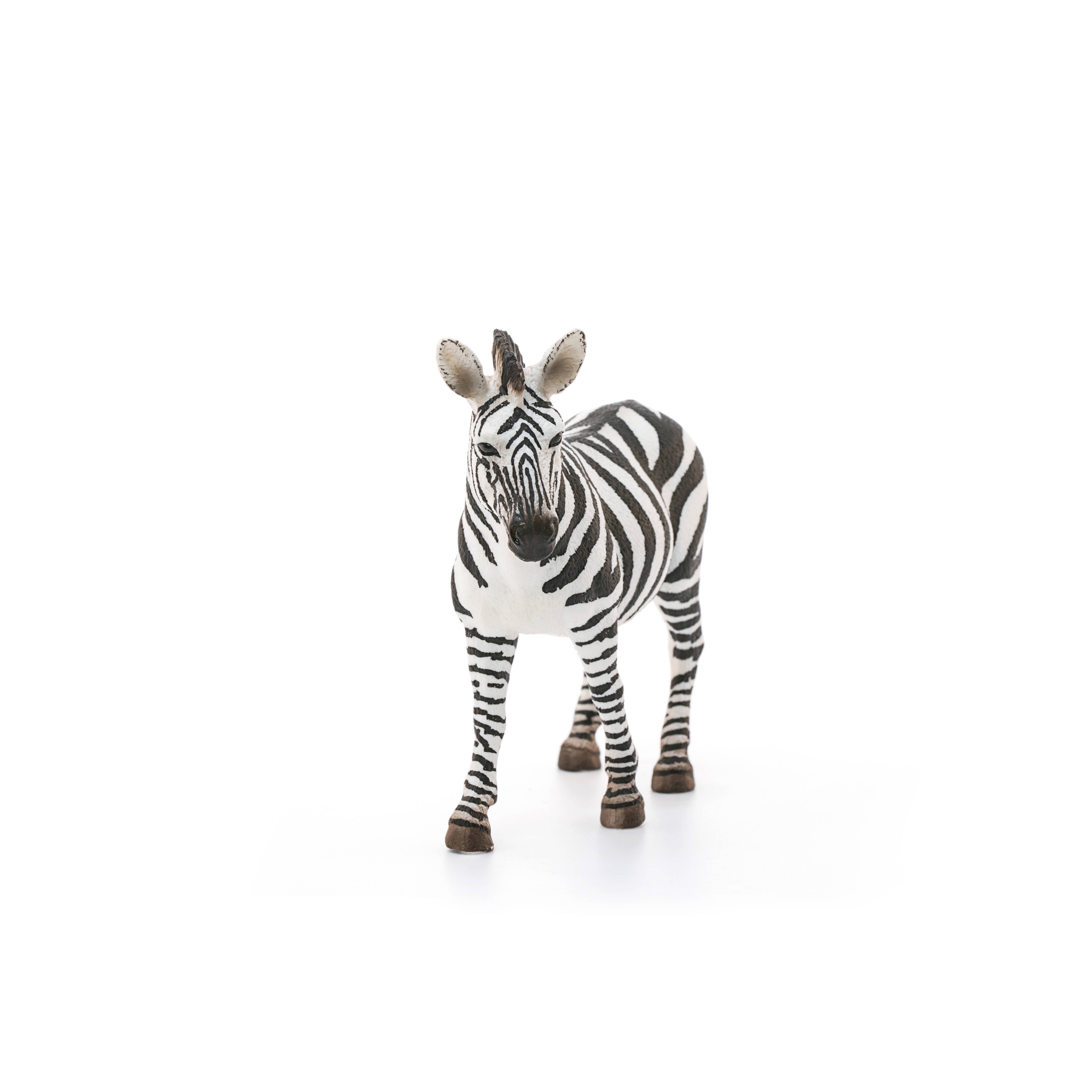 Zebra, Female Safari Animal Toy, photo 2 of 5