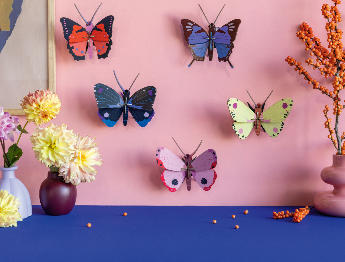 3D Wall Art - Butterfly - Crysalus Butterfly, photo 3 of 4