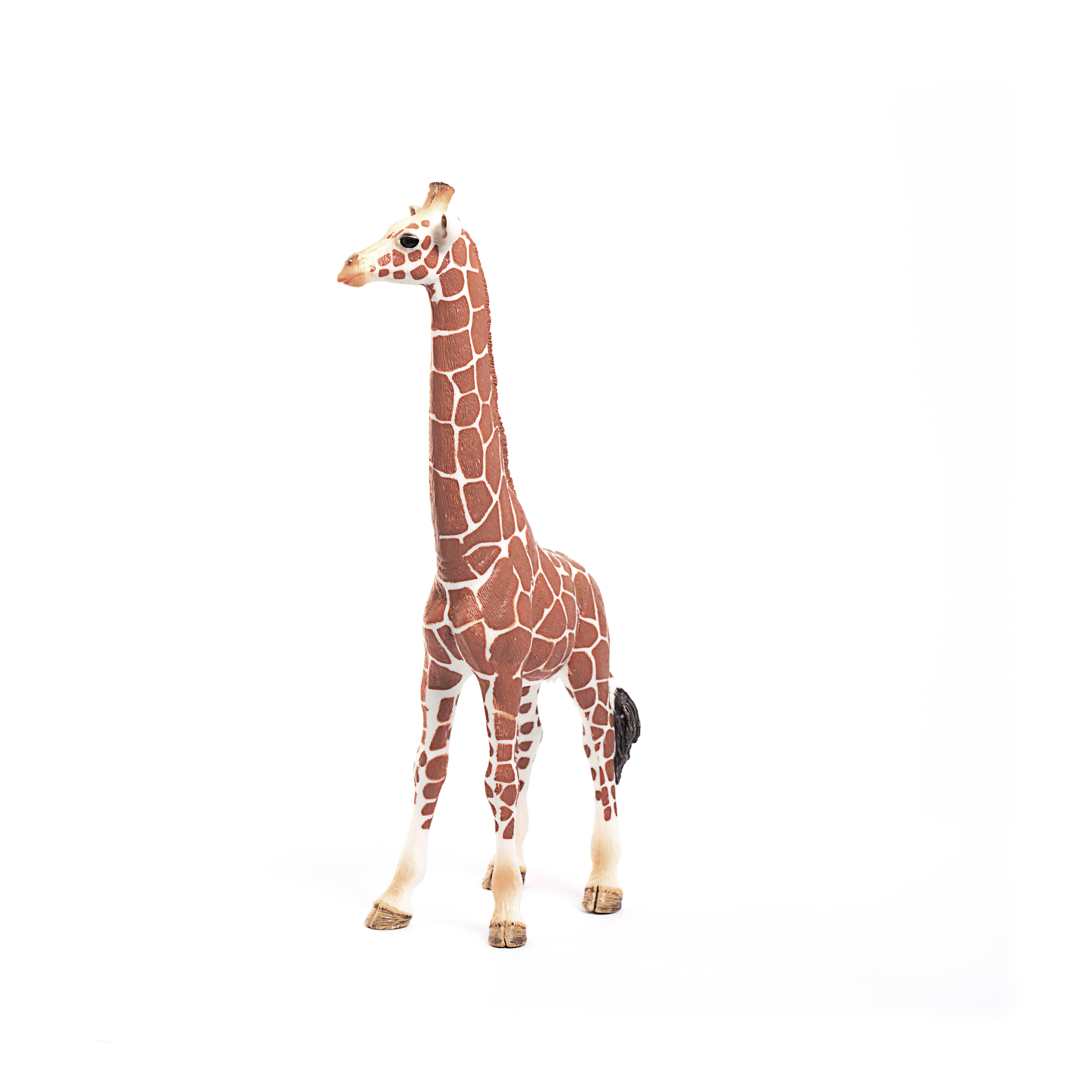 Giraffe, Female Safari Animal Toy, photo 3 of 6