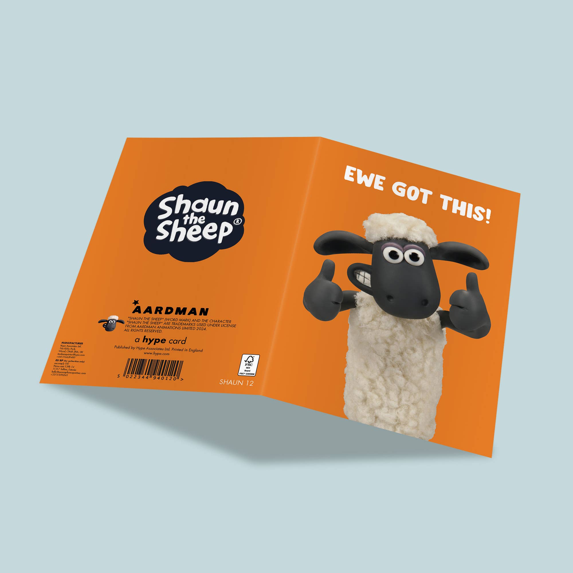 Good Luck Card | Shaun the Sheep, photo 2 of 2