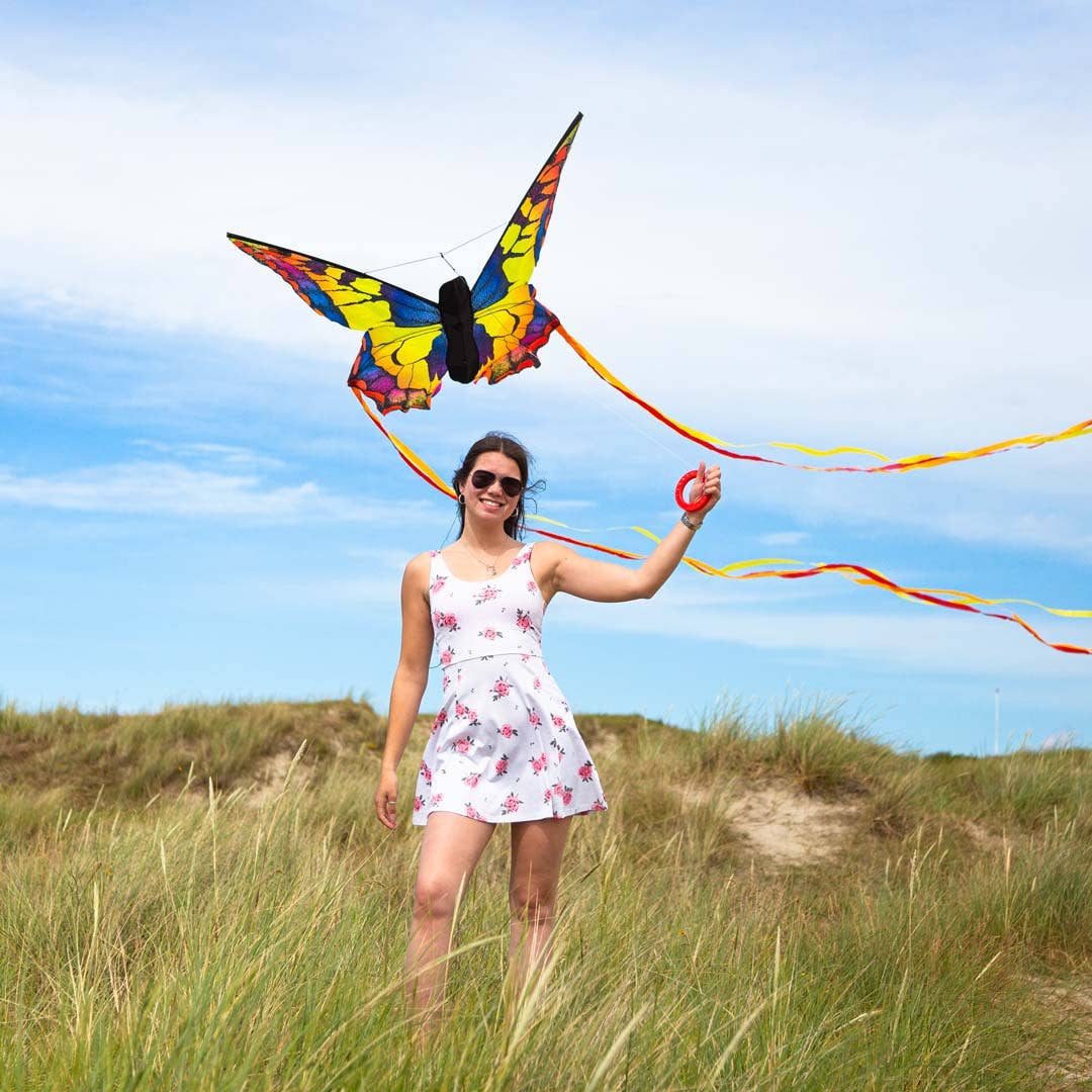 Butterfly Kite Swallowtail "L", photo 4 of 7
